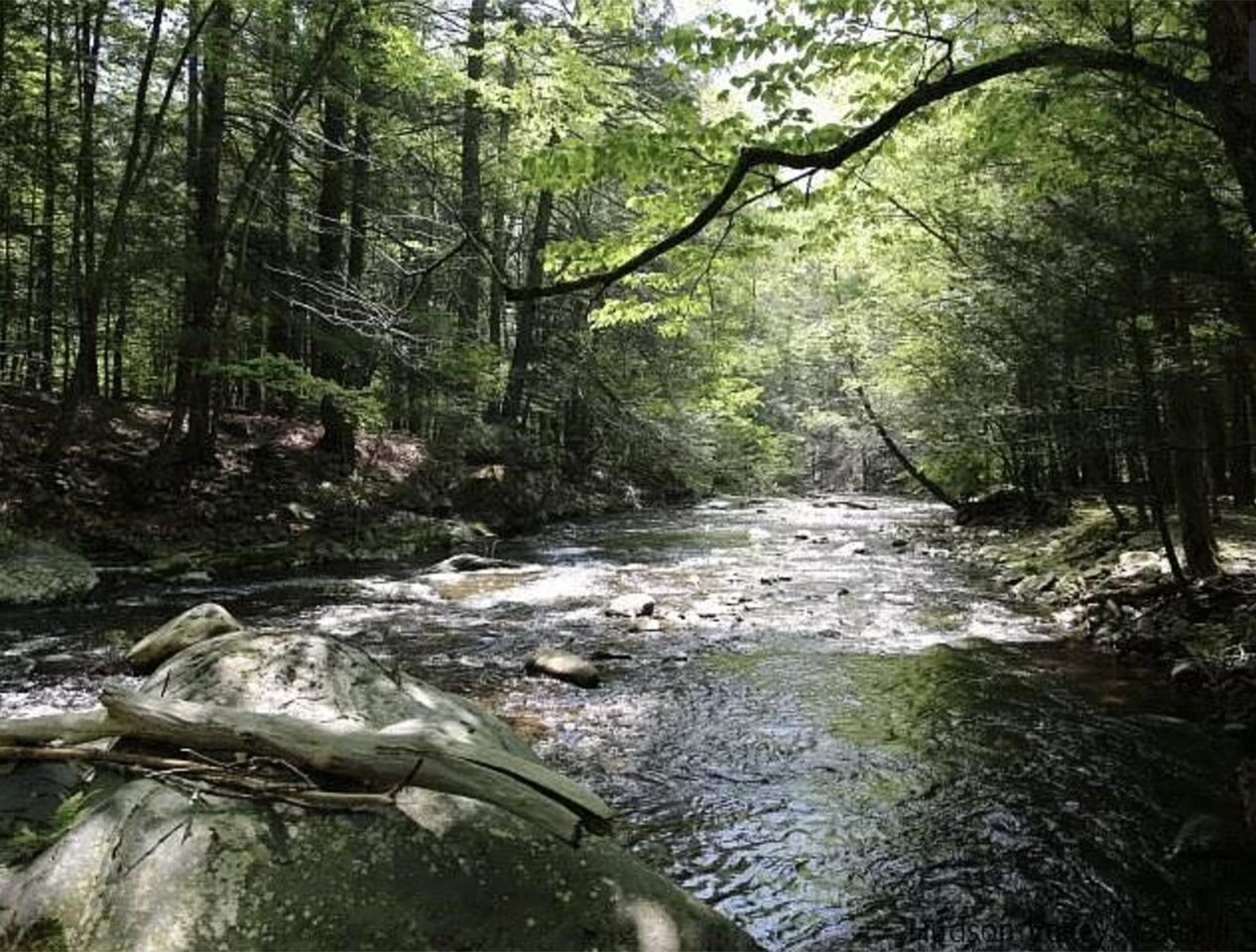 Daytime view of a river in the Catskills, with a canopy of leaves overhead.