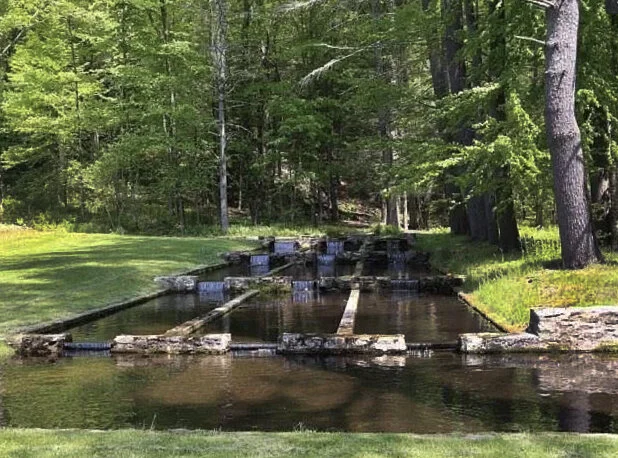 The Jenny Brook River School