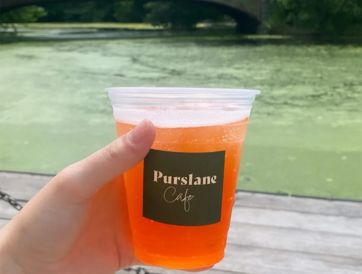 herbal iced tea at summer cafe in prospect park boathouse seasonal sustainable food and coffee beer and wine