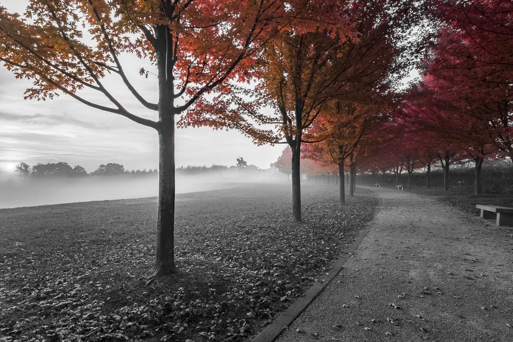 _DSC6209-HDR-2.jpg