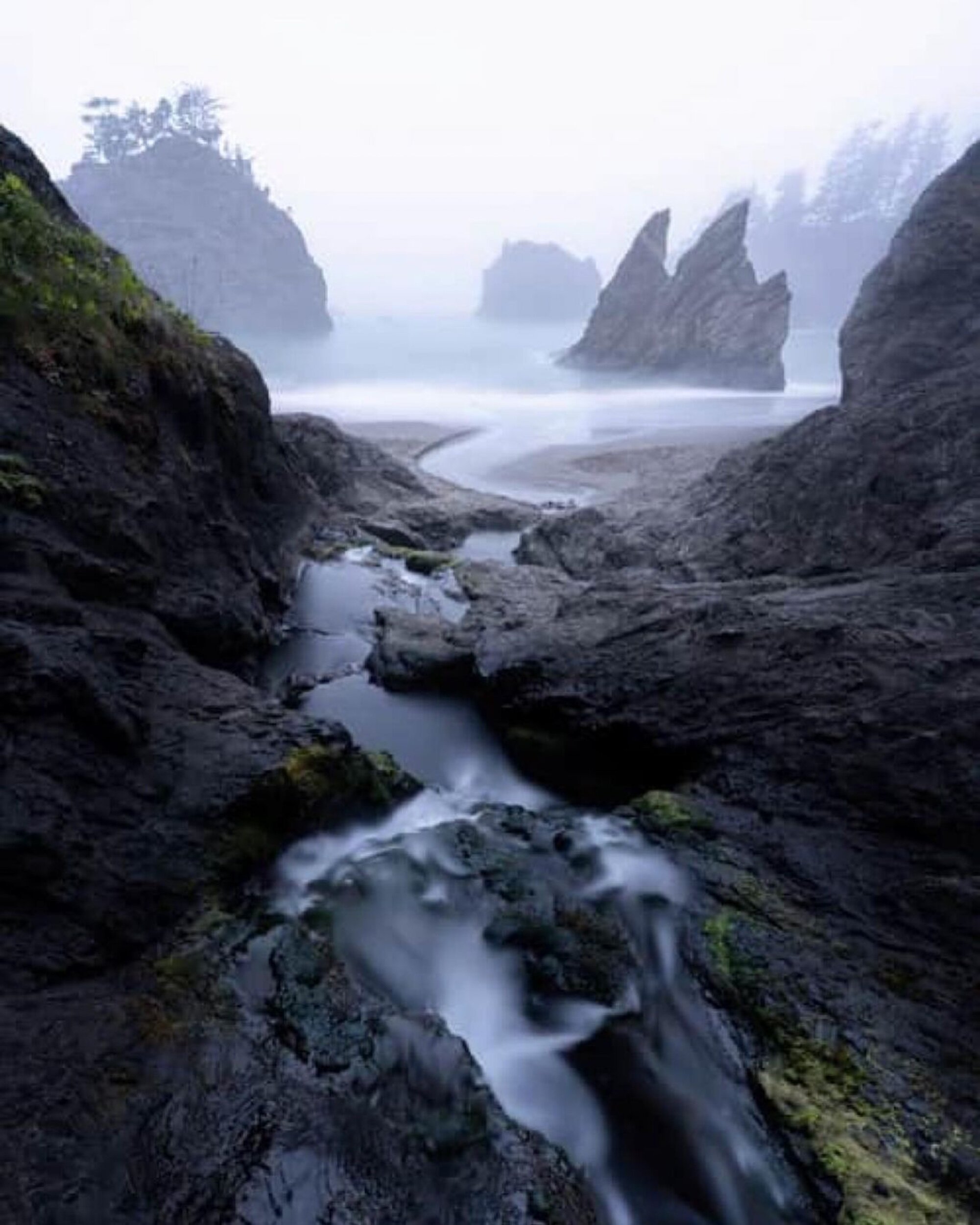 Oregon Coast Foggy Beach by Photography Workshop Student