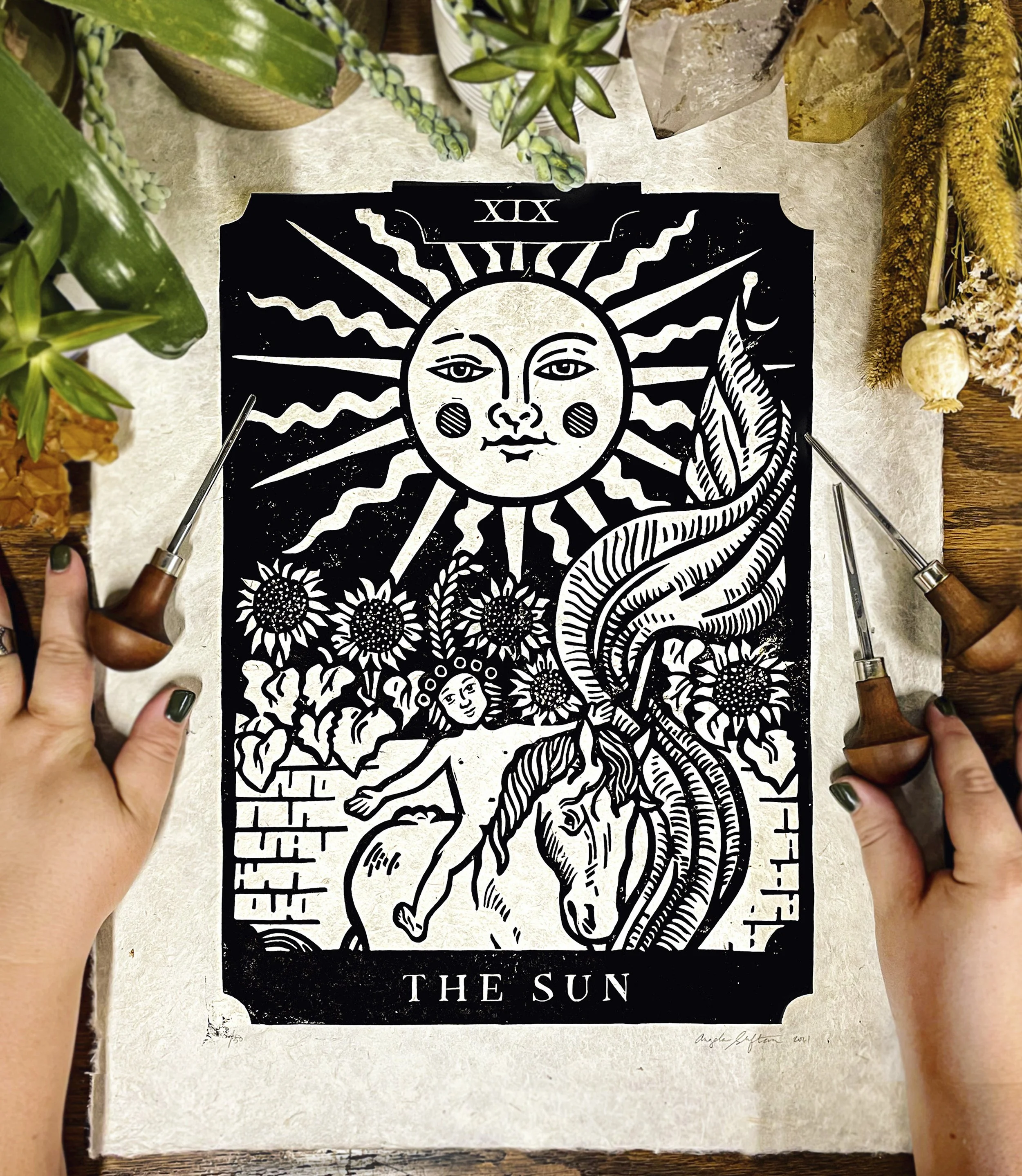 SUN.jpg