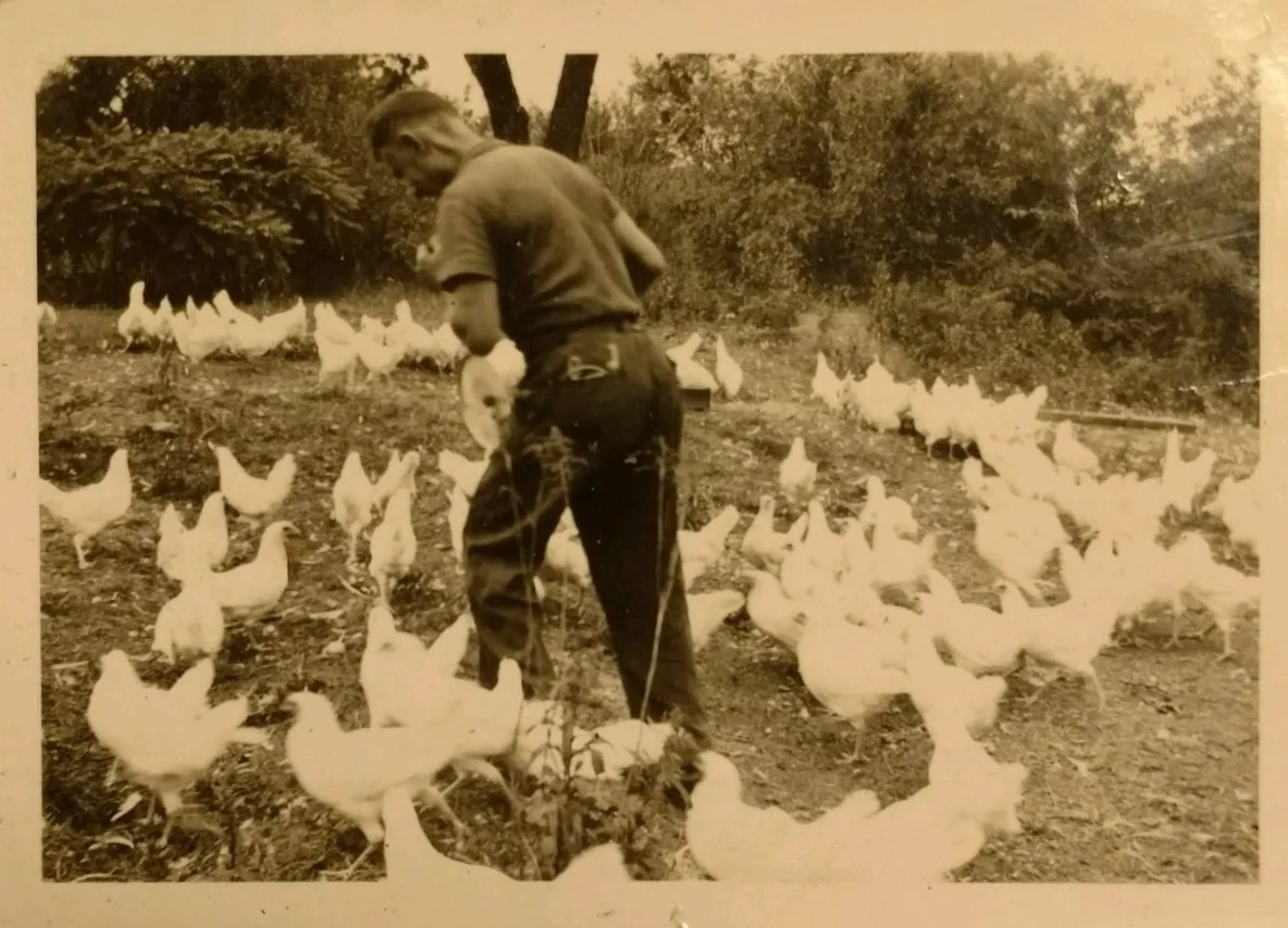 poultry farm.jpg