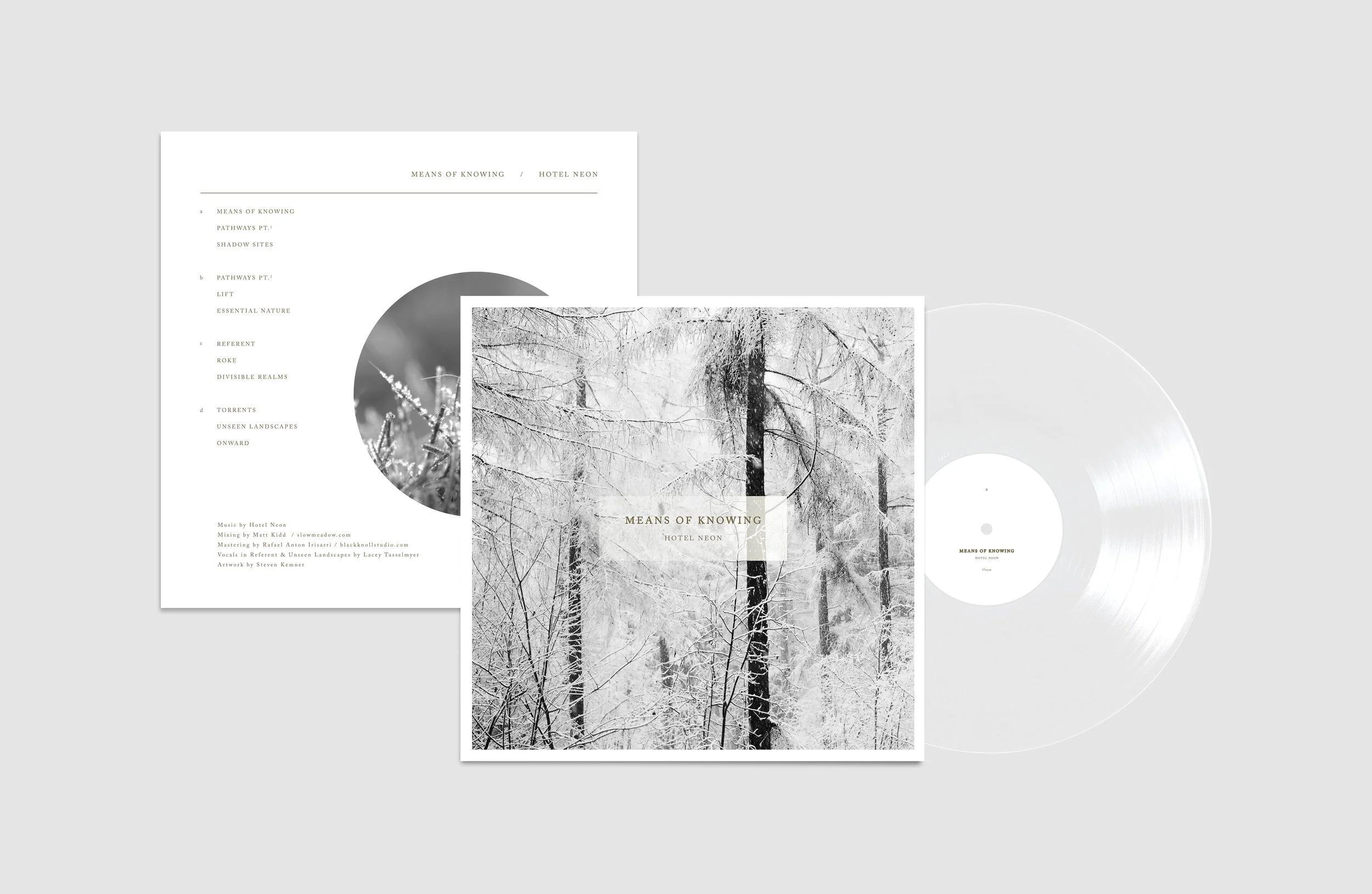 Means of Know Vinyl Mockup_clear.jpg