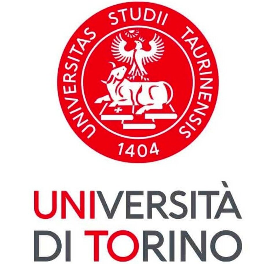 csm_cs-university-of-torino-logo_99f4a6da8a.jpg