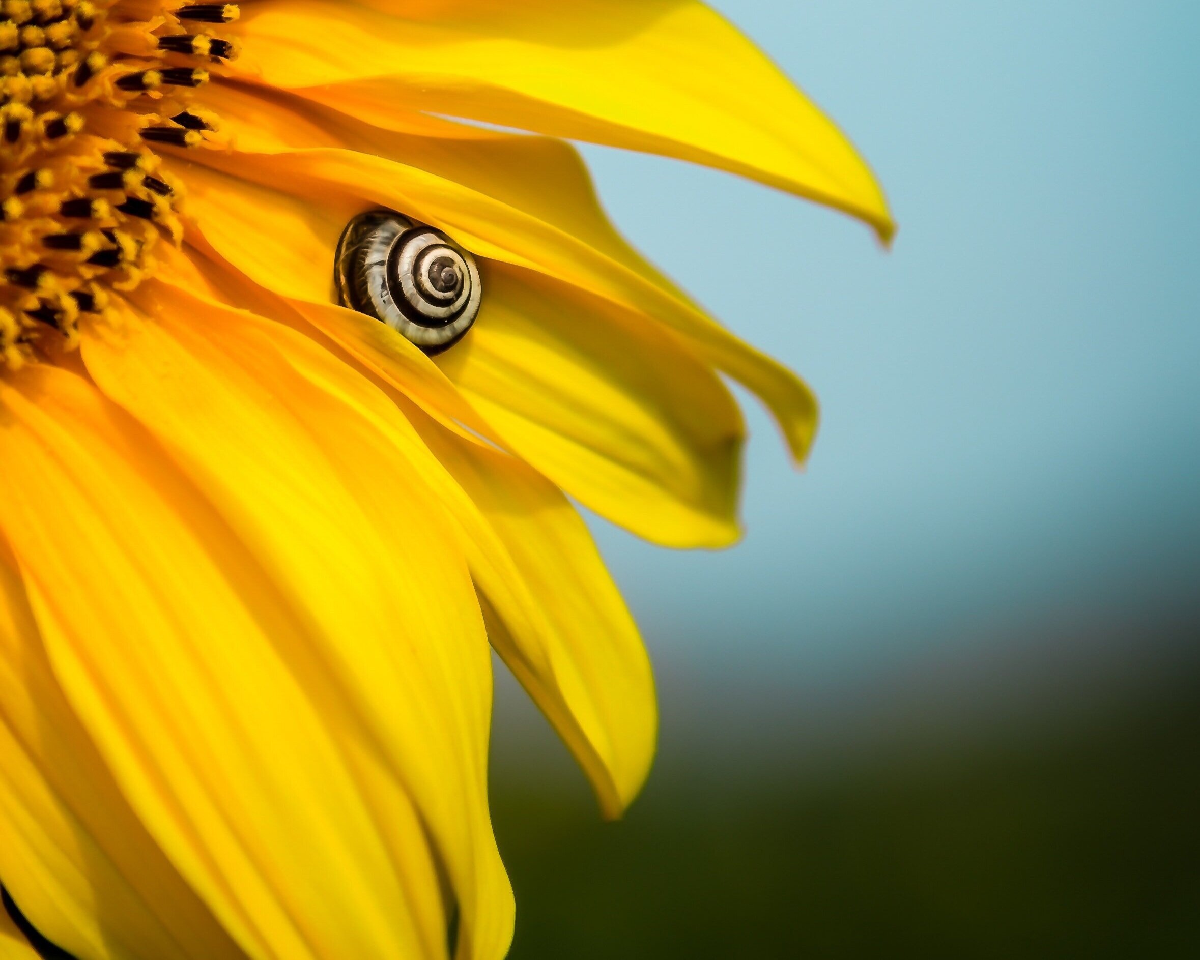 marlena sarunac startup pitch.jpg