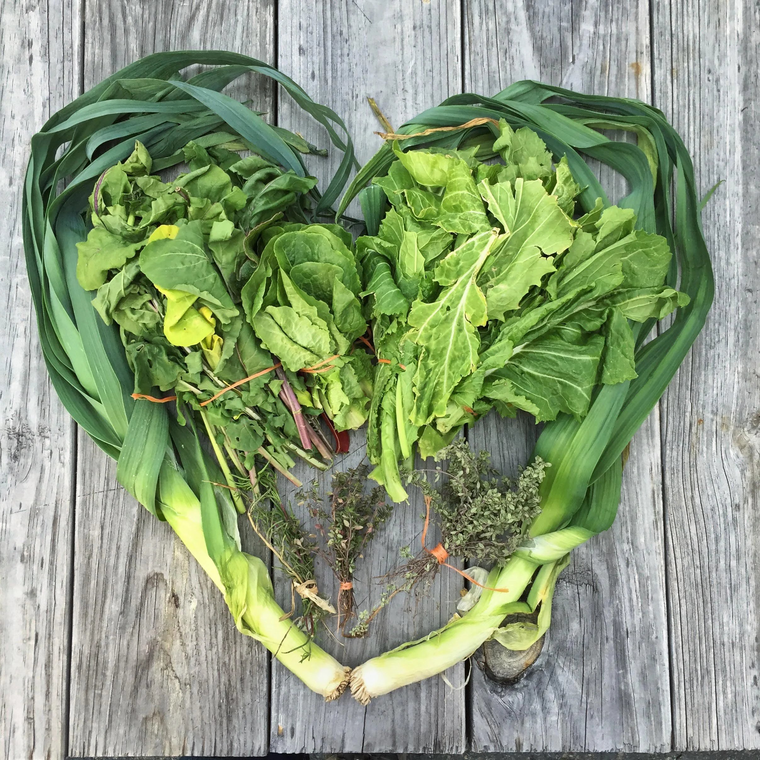 Lessons in Agricultural Charities