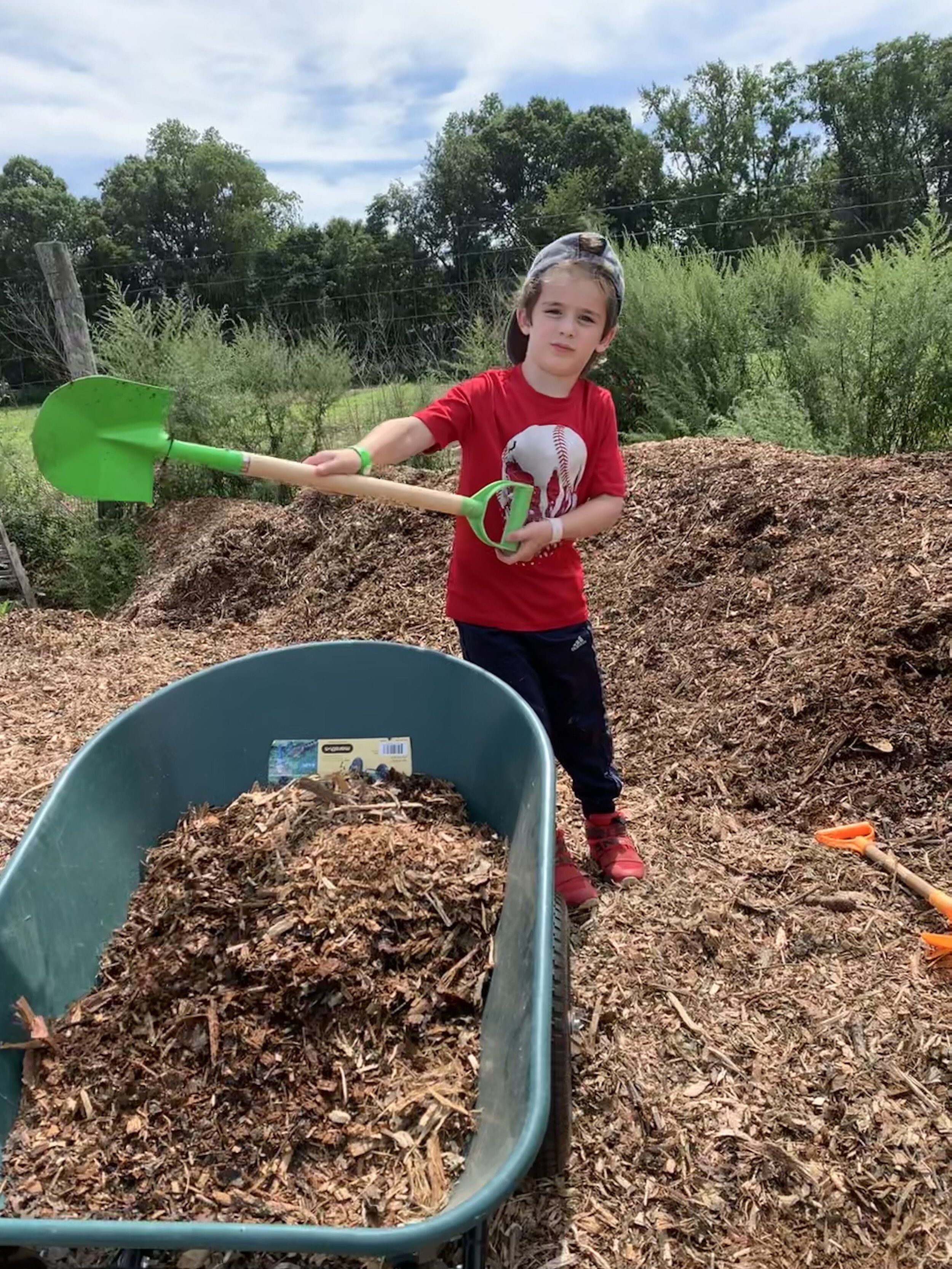  A child shoveling mulch in front of a wheelbarrow 