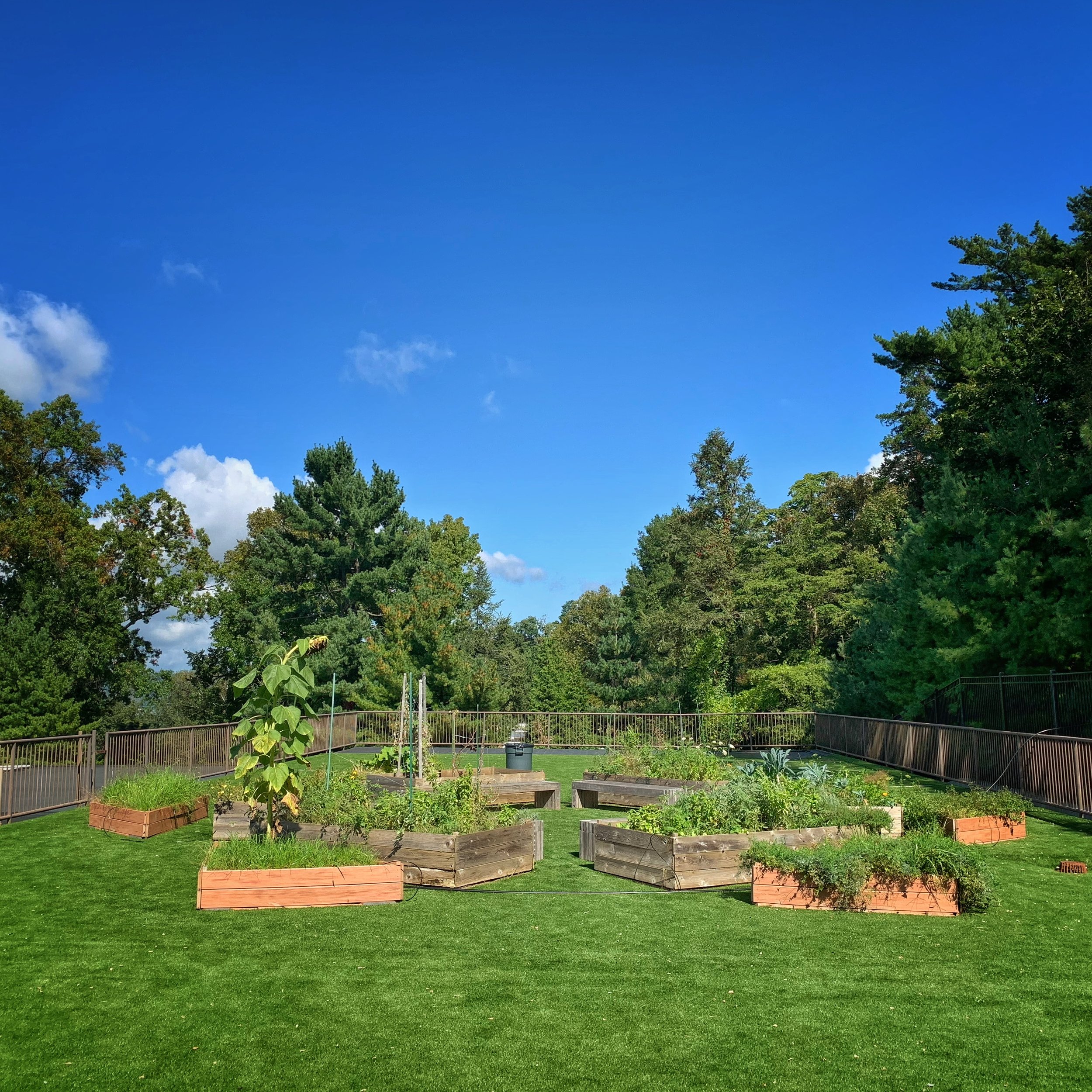 Bringing Torah to Life Through Nature at SAR's Gan Ilan