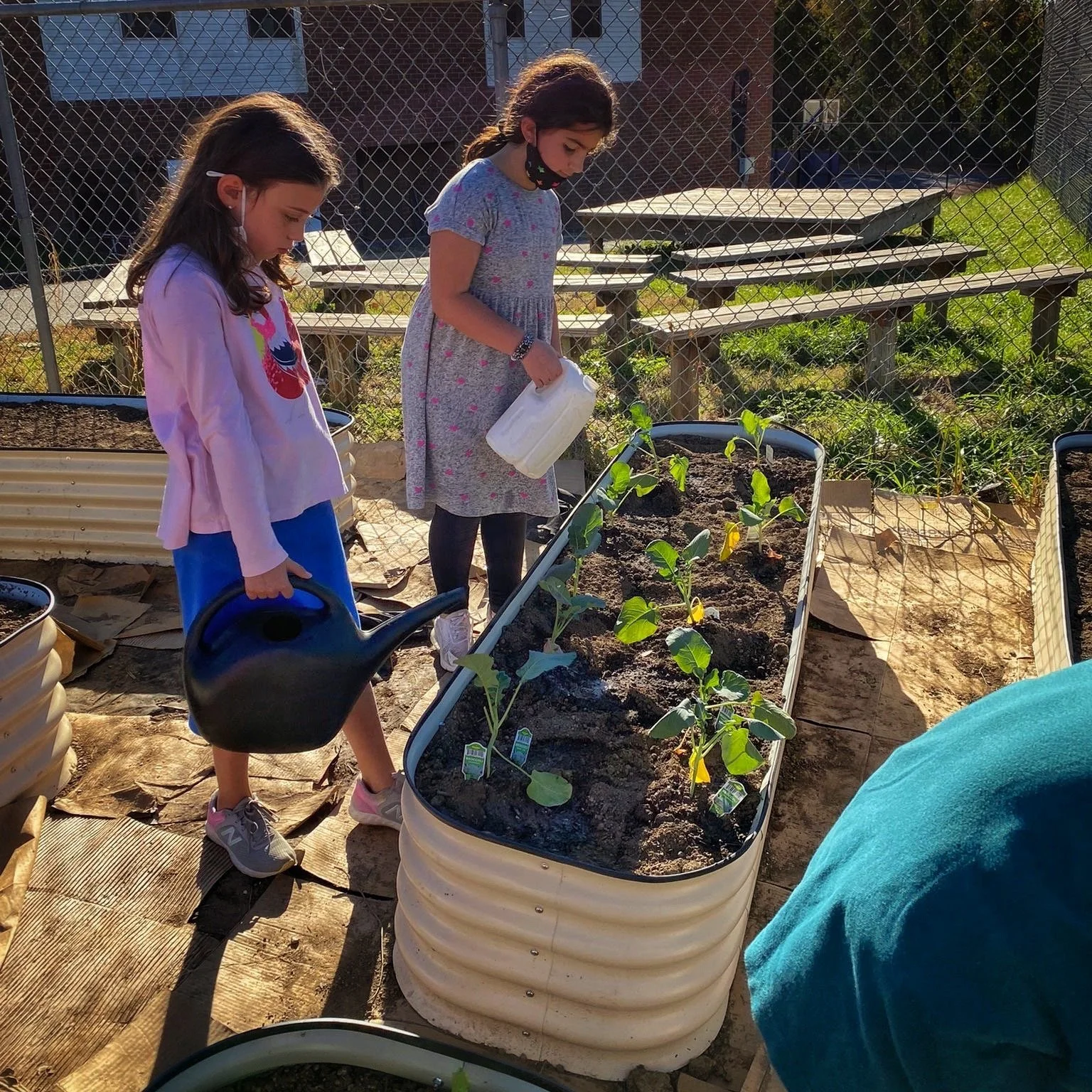 17 Garden Beds Built by the Students of MJBHA at the GrowTorah Garden