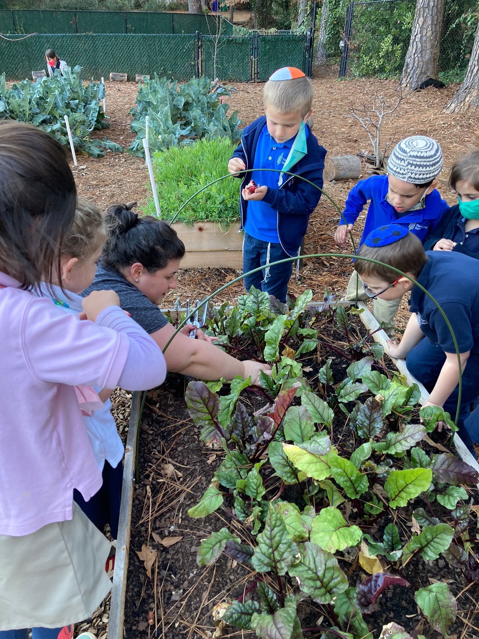 Bringing Shul Outdoors with Ohr Hatorah in Atlanta