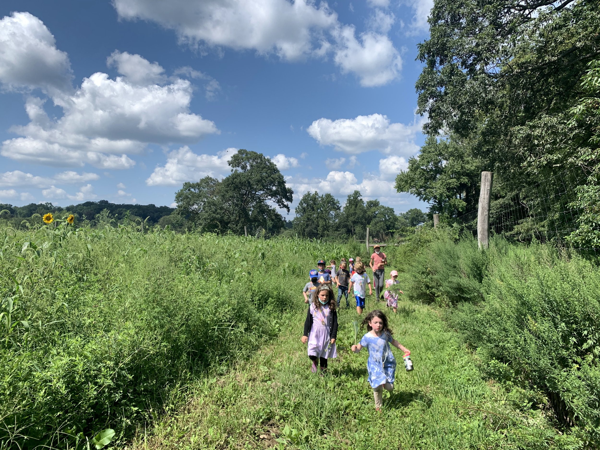  A group of children walking through a field 
