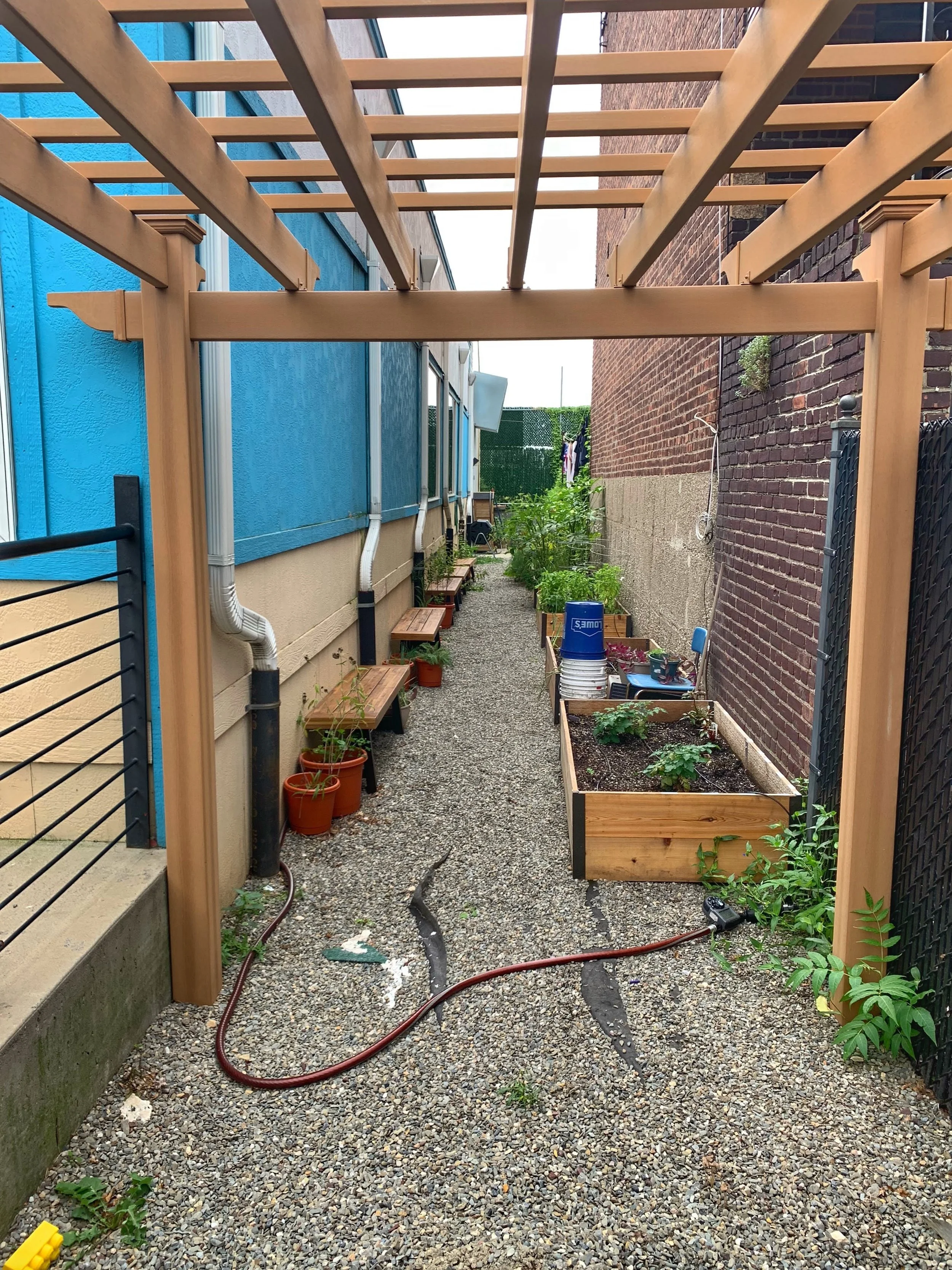 Blooming in Brooklyn at Barkai Yeshivah