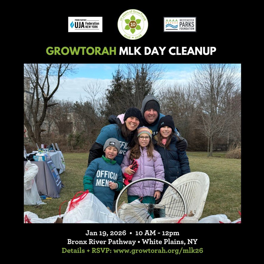 GrowTorah + WPF MLK Day Litter Clean up 