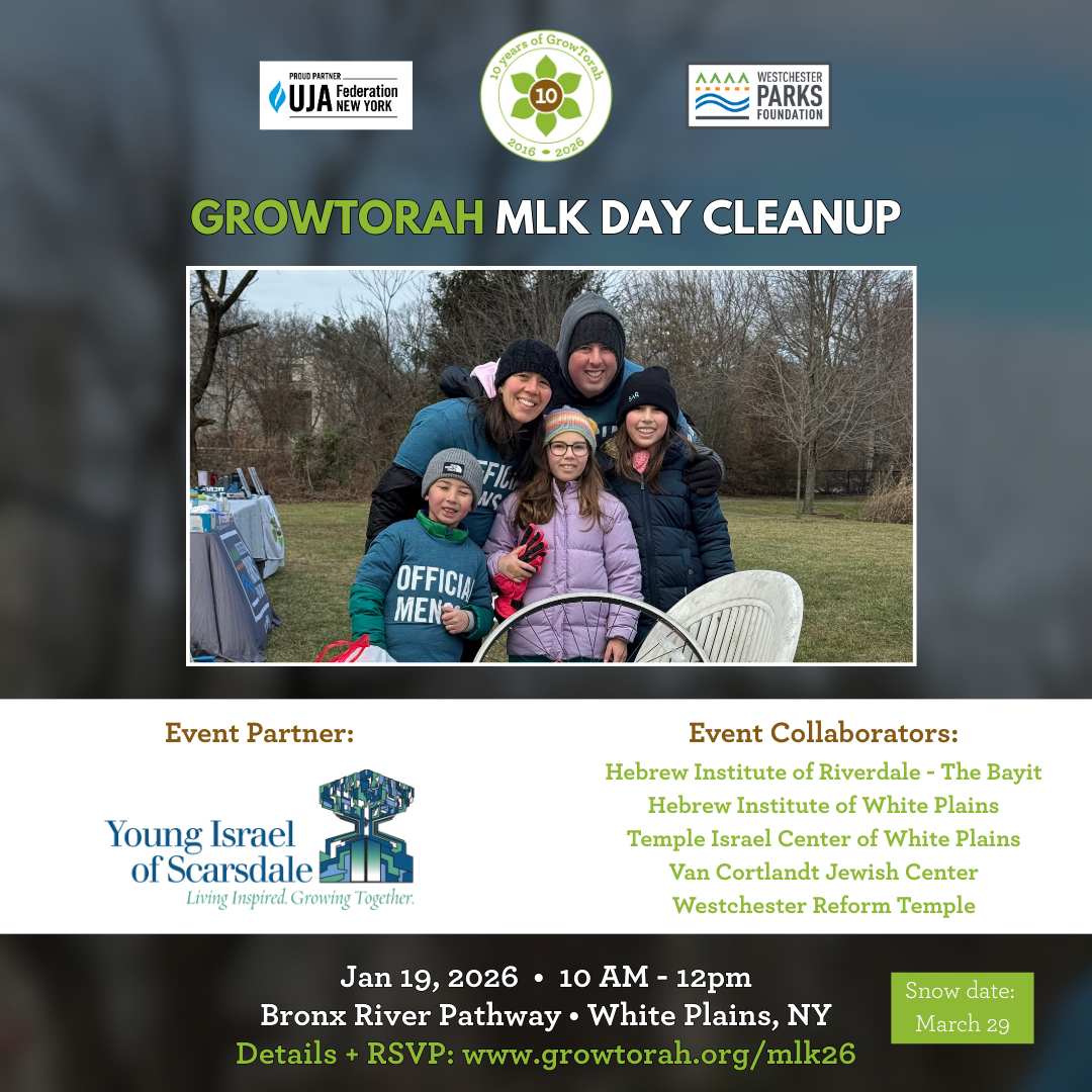 GrowTorah + WPF MLK Day Litter Clean up 