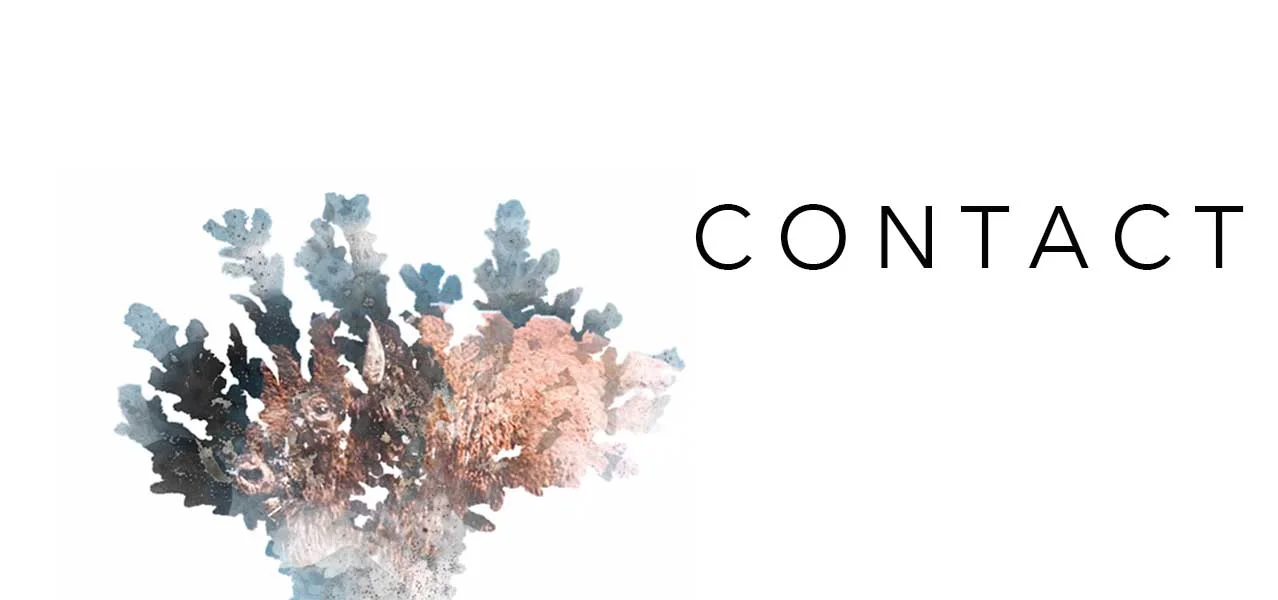 contact2.jpg