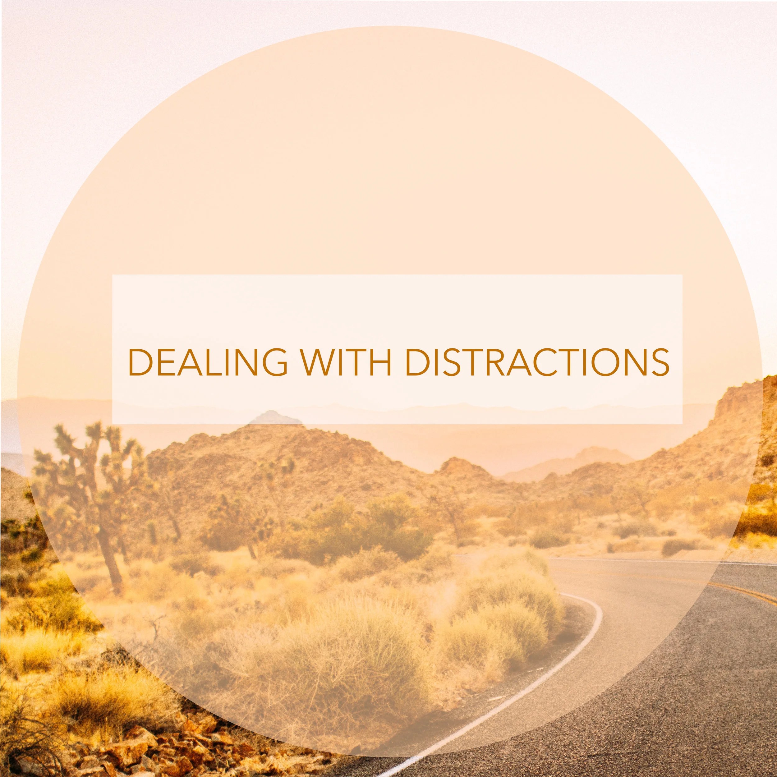 (Online) Breath Work x Dealing with Distractions