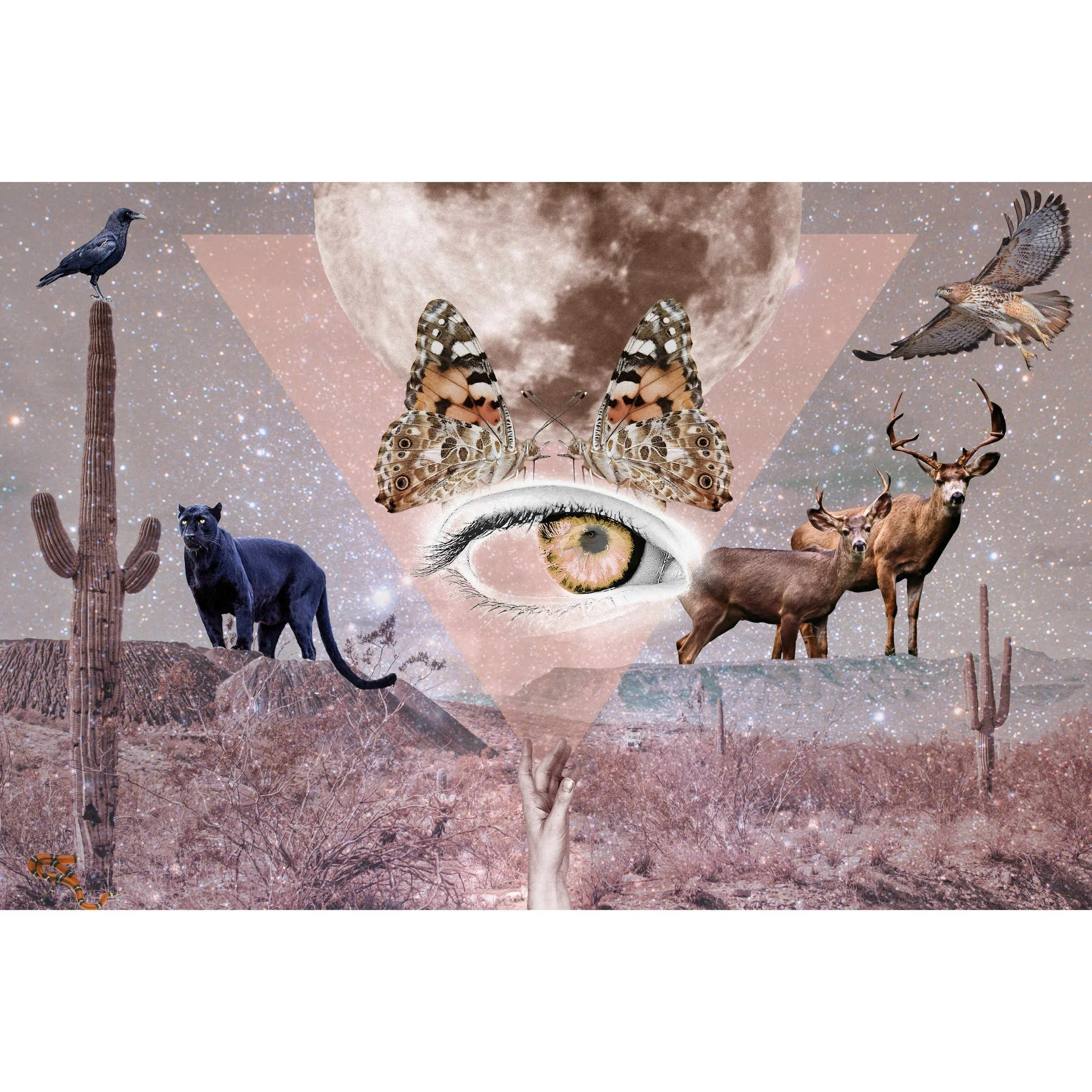 8/31/19 (Online) Breath Work x BELONGING