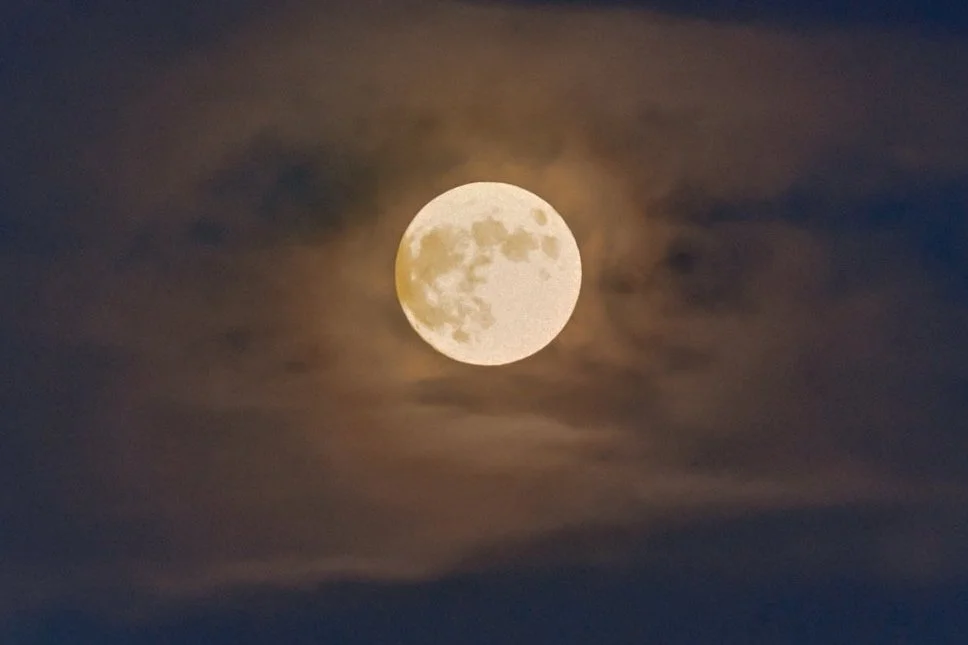 Full Moon Meditation + Breathwork Group (Online) 9/29/23