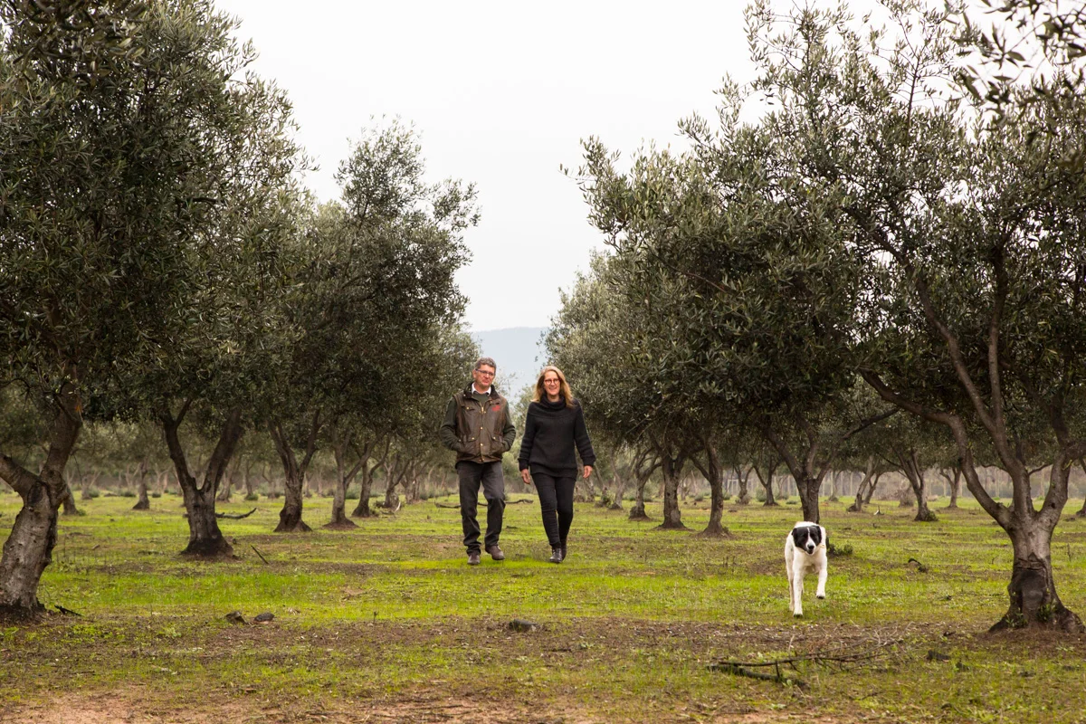 Produce_HallsGap_RedRockOlives-13.jpg