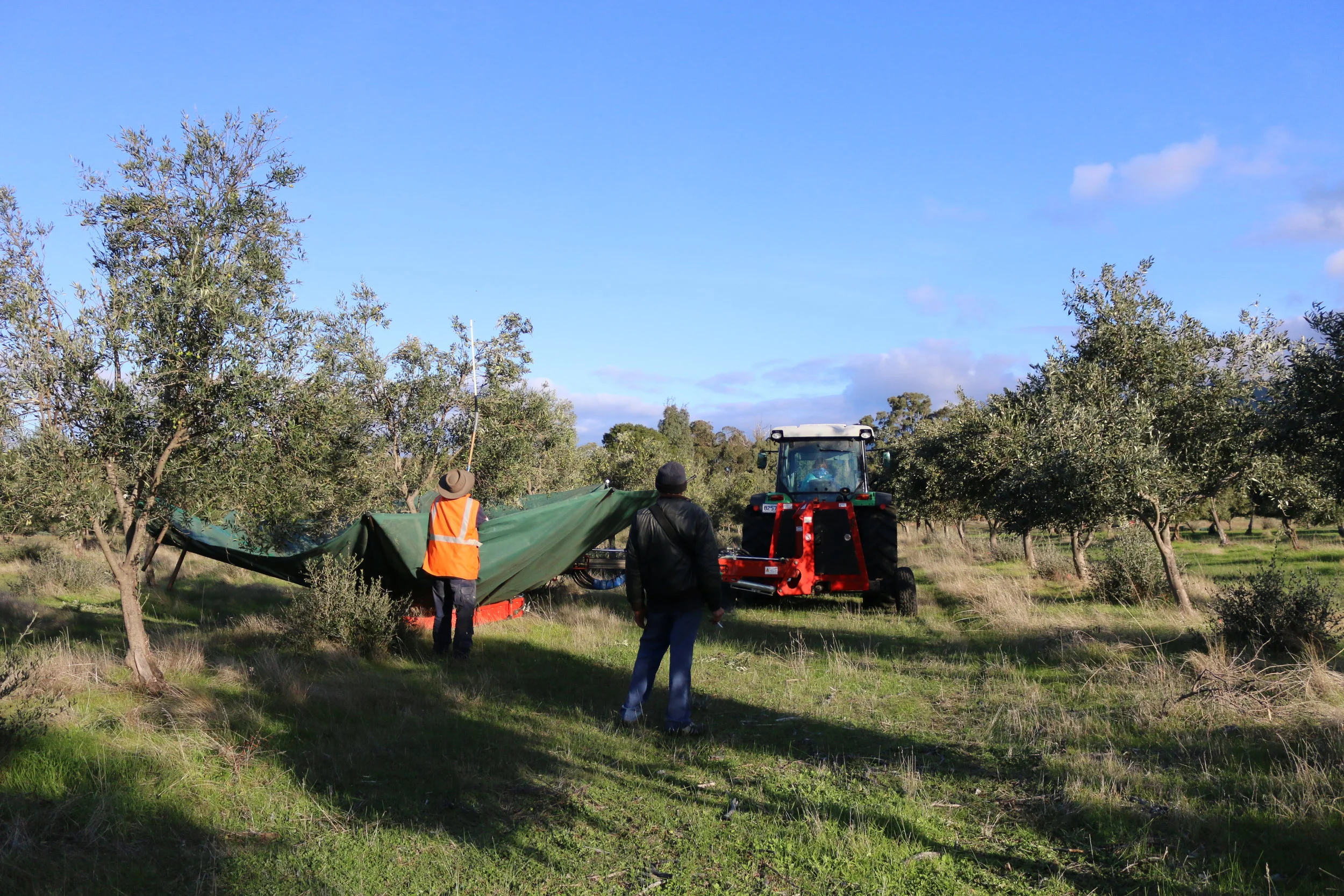 2017 Harvest Wrap Up