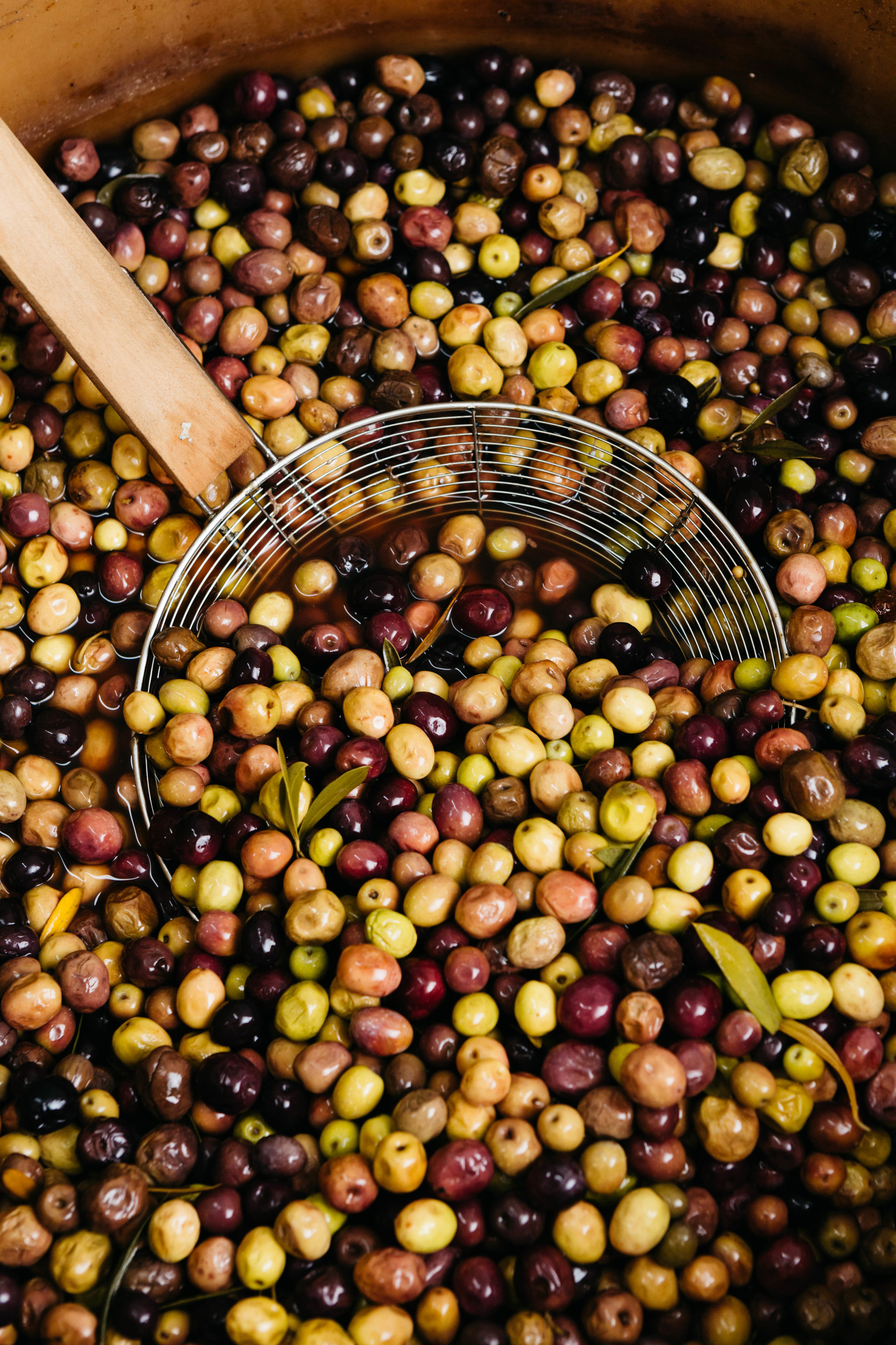 Red Rock Olives LR- Emily Weaving- October 2018-9996.jpg