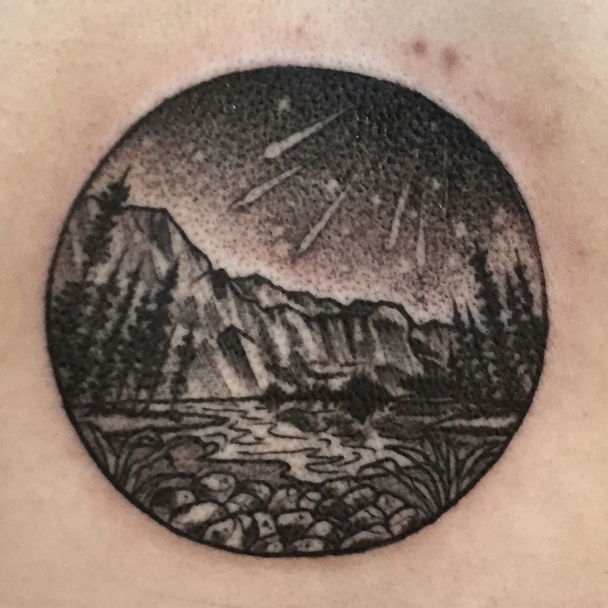 Mico stippled fineline blackwork night sky landscape 