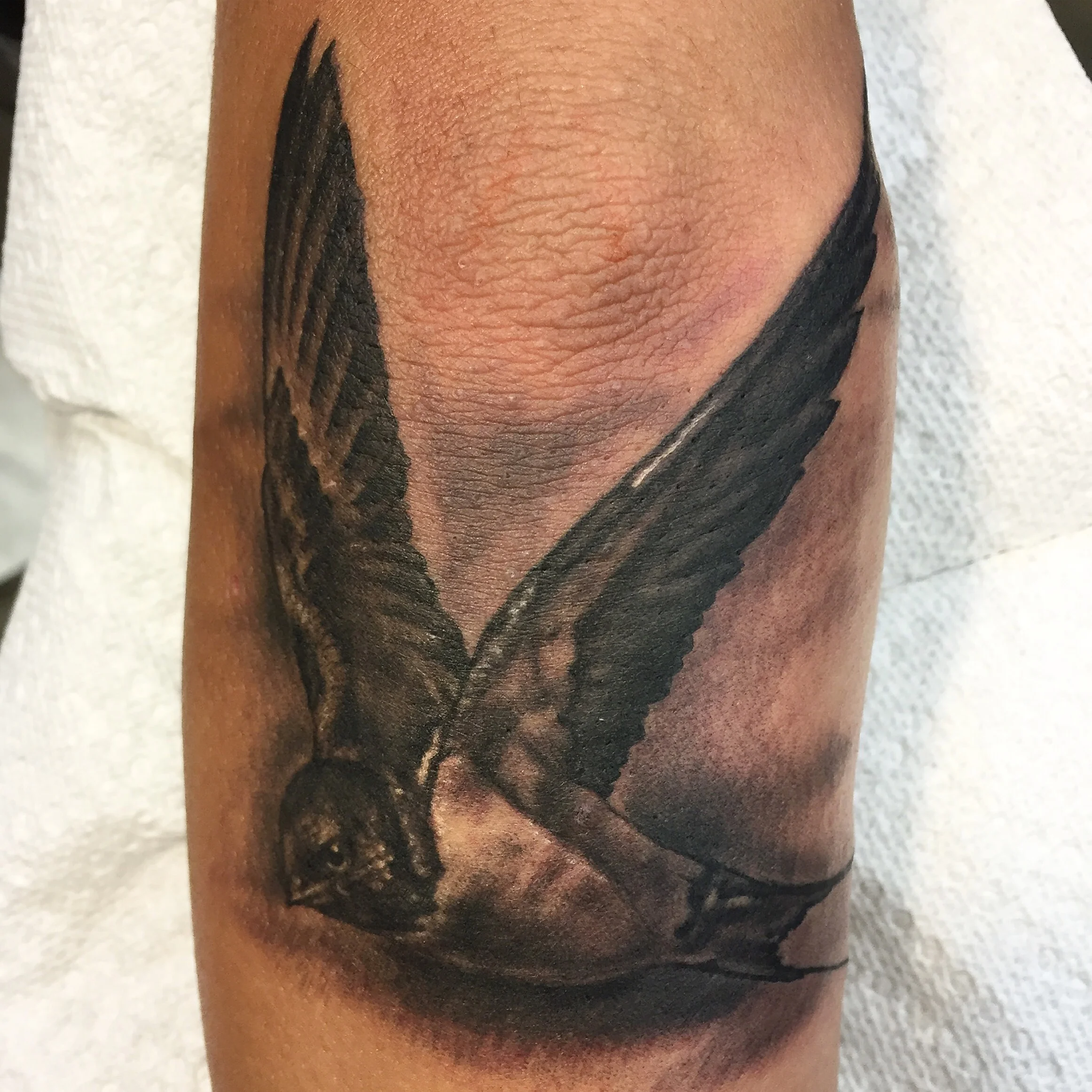  Black and grey realism swallow 