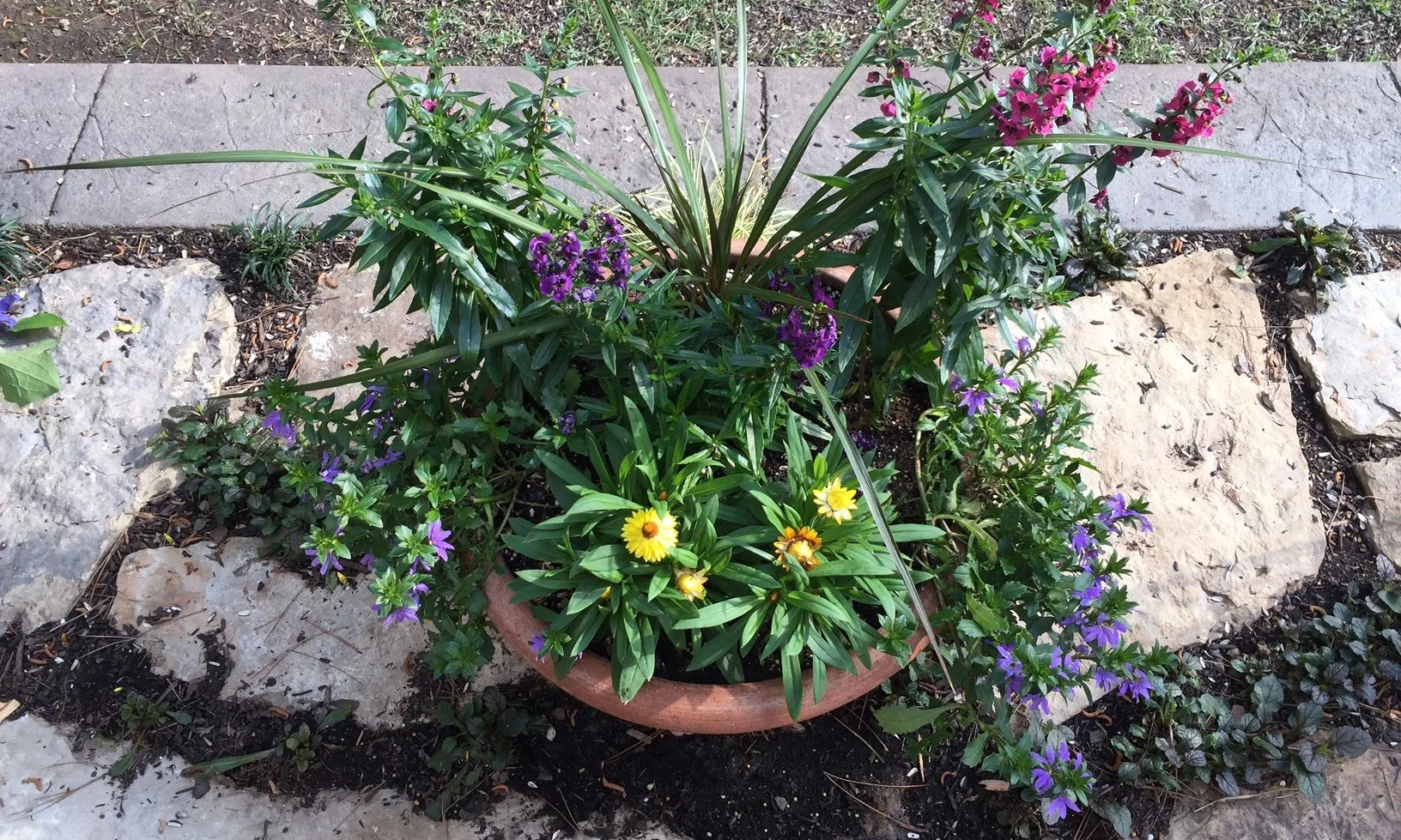 McCarthy Pots 3.JPG
