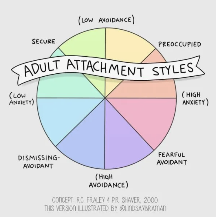 Attachment Styles 101 — The Center for Modern Relationships