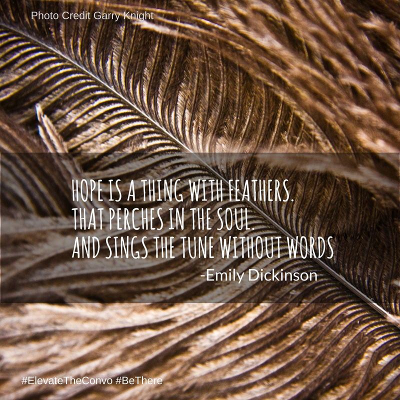 Hope and Feathers.png