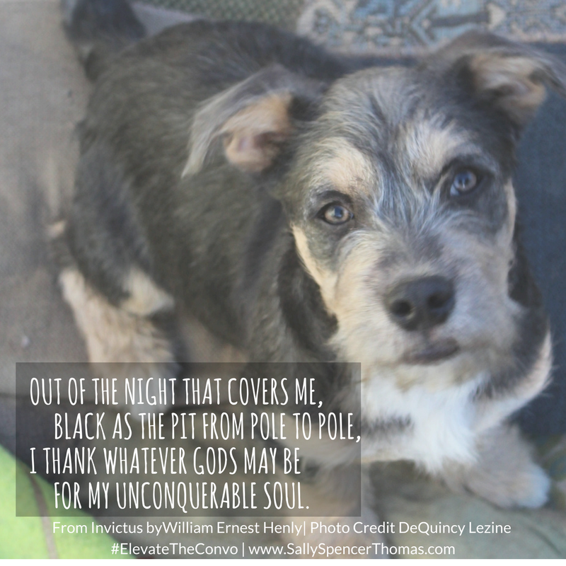 Making Meaning after a Mental Health or Suicide Crisis Interview with