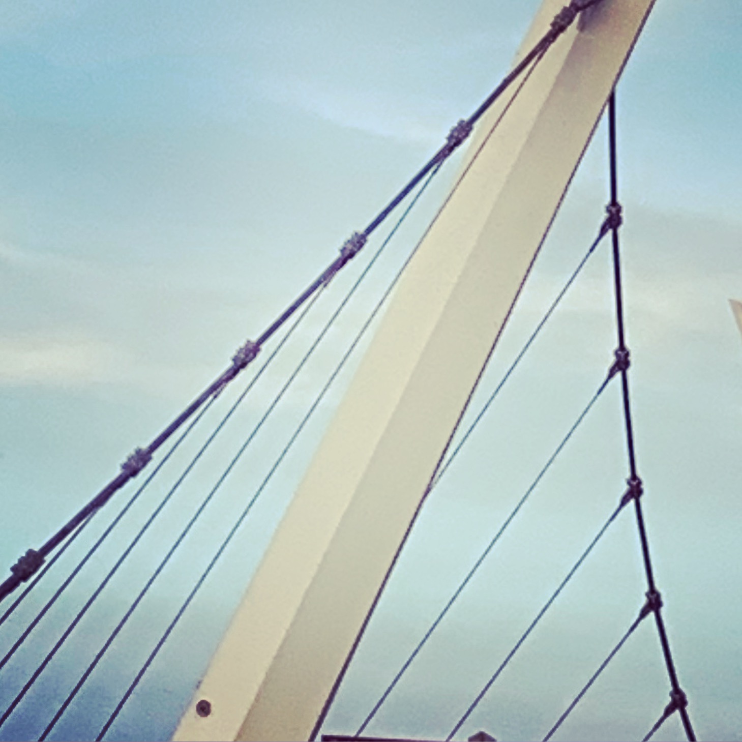 IASP2019 Peace Bridge.jpg