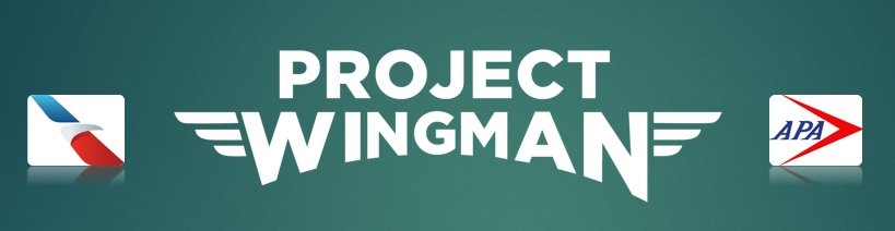 Project Wingman