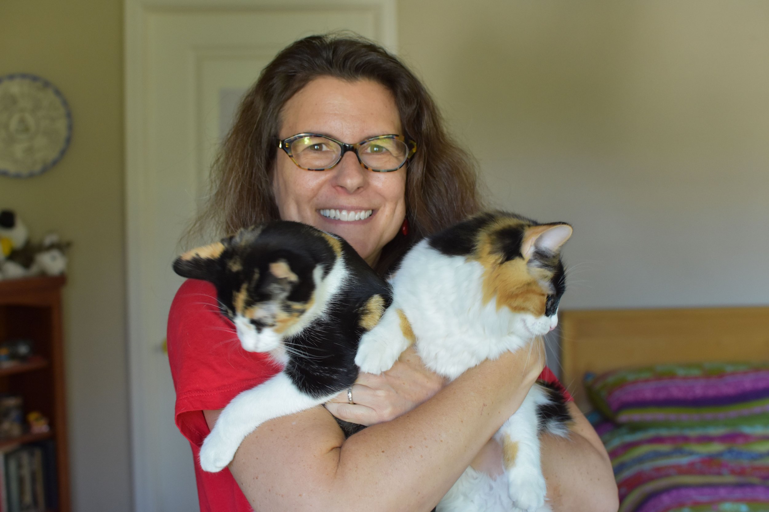 SM Photo Stacey Freedenthal WITH CATS.jpg