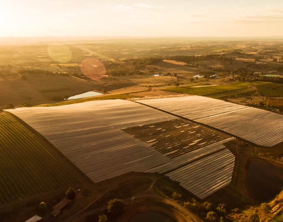 Orange Wine Region [Video]