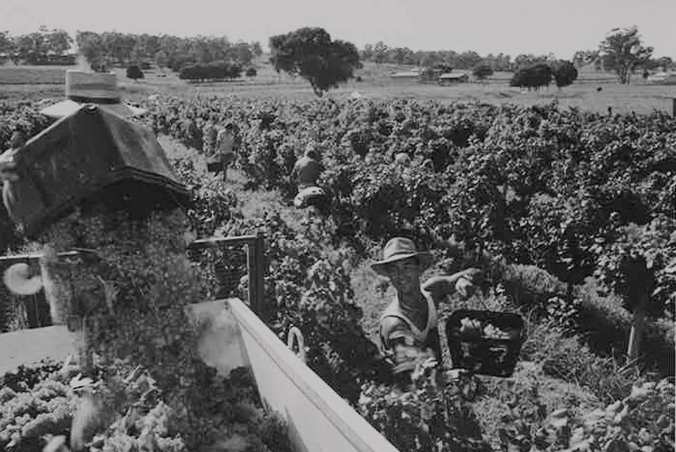 history1a_c2914835-5daf-40ea-9870-febf63cc23cd_1440x640.jpg