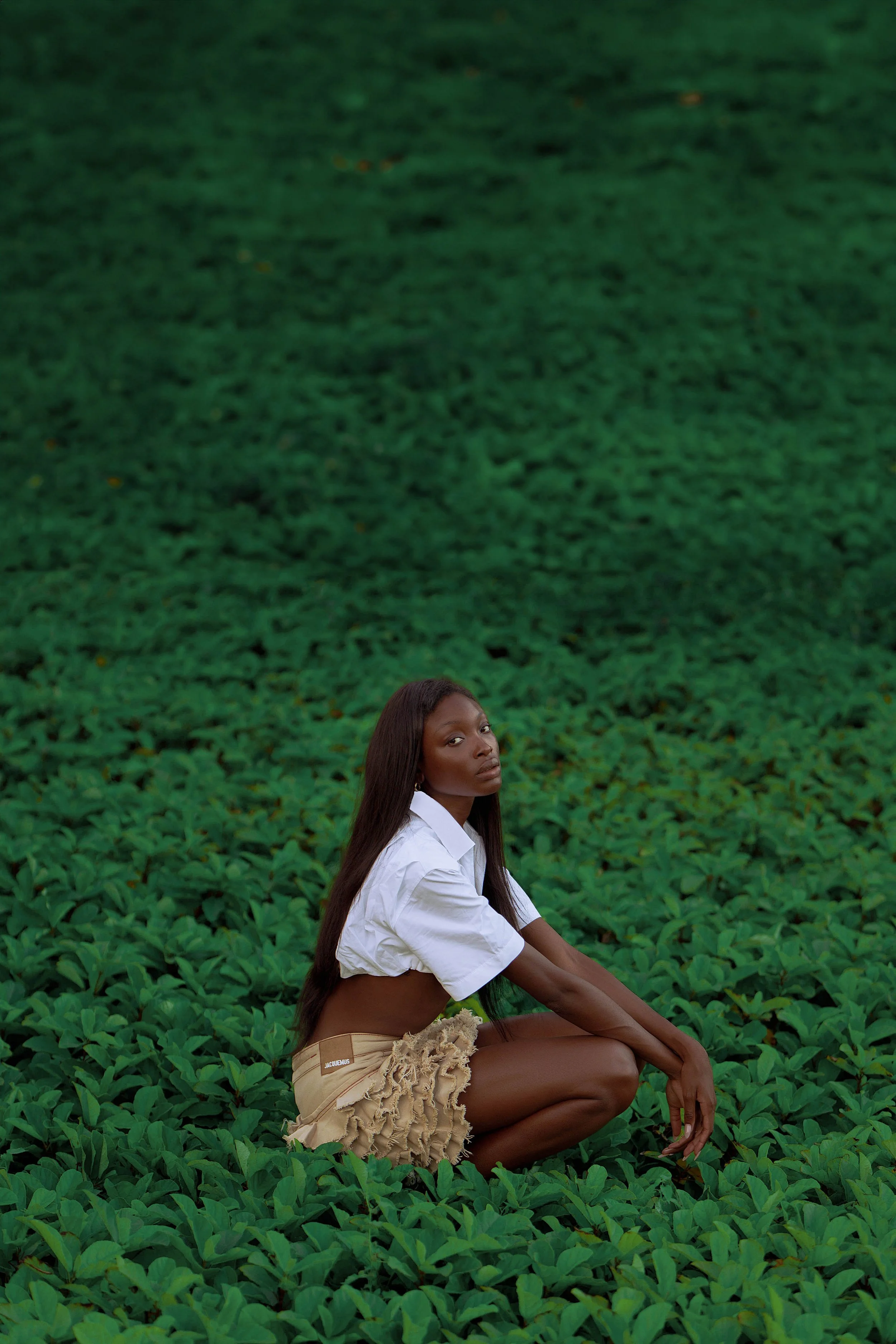 2T3A3003 Edit1-2.jpg