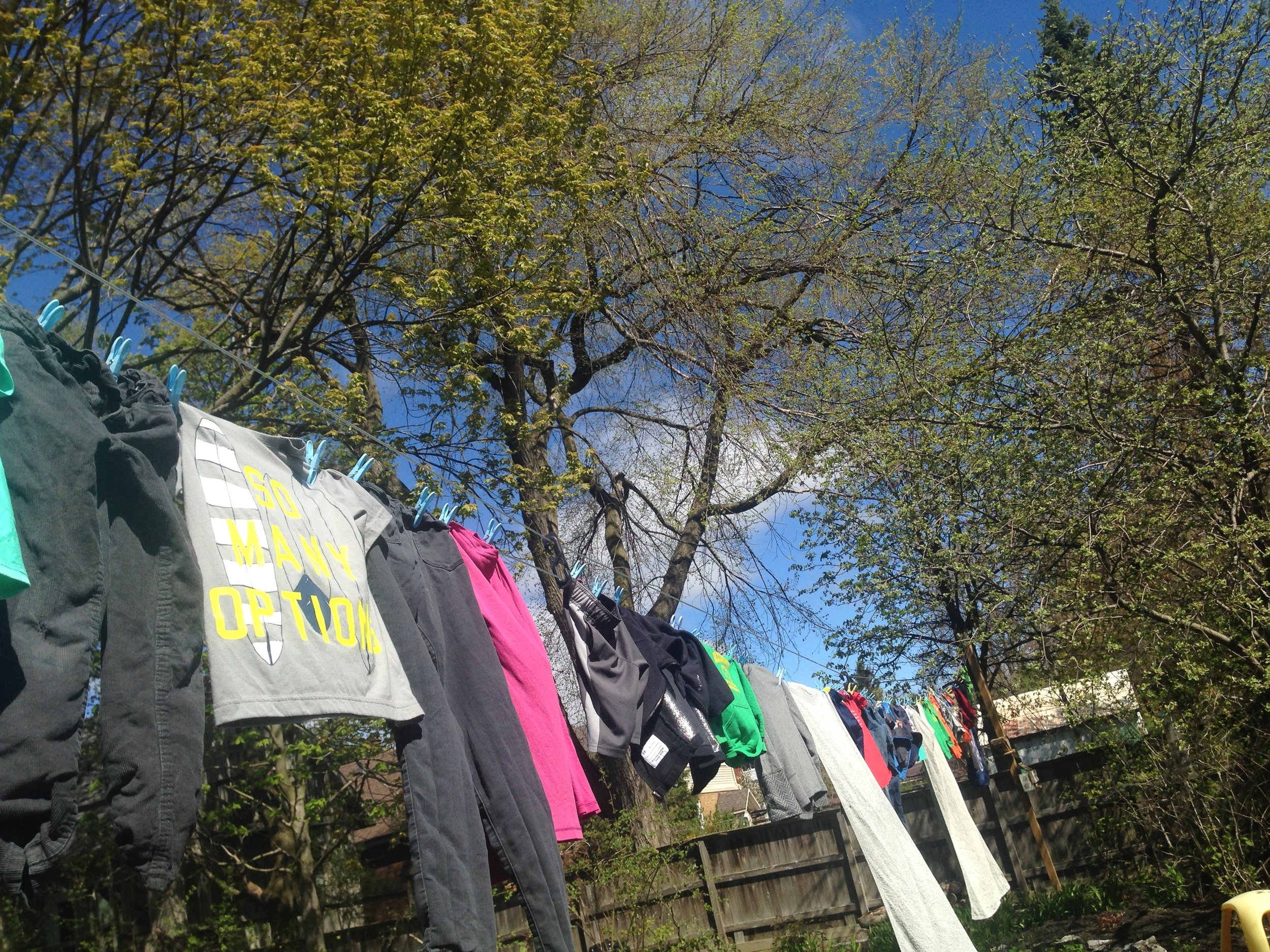 Today marks the inauguration of Laundry Line season, which also makes me happy.