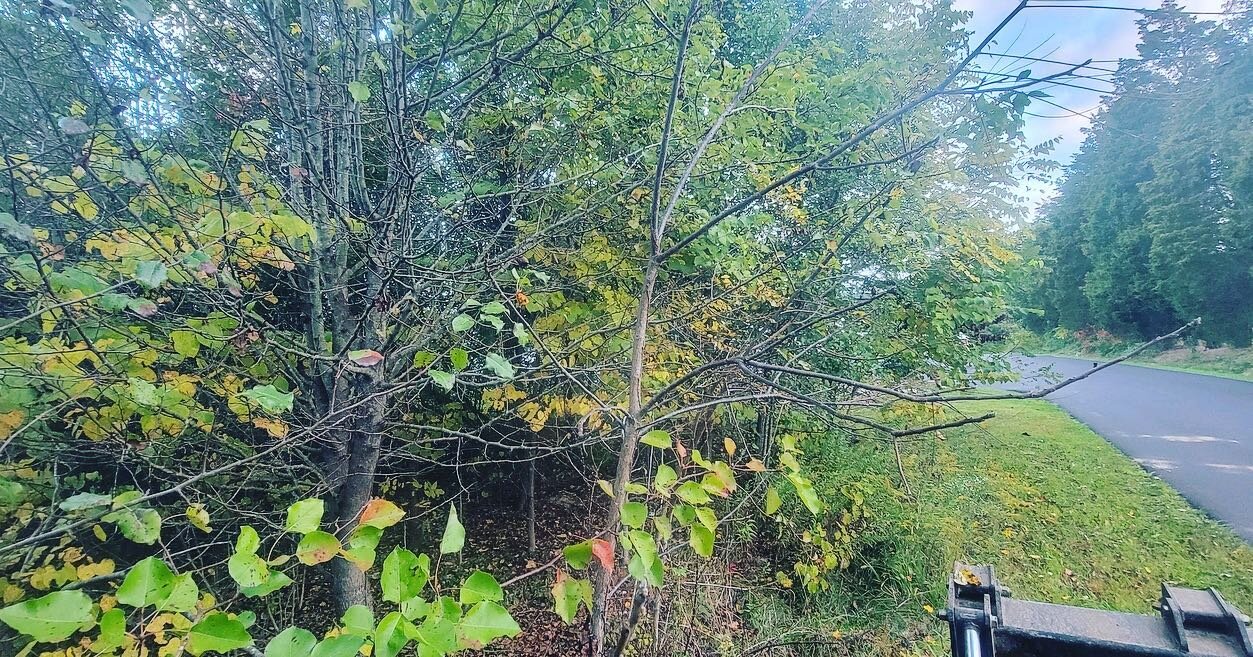 Land clearing projected we just fished up today for the TriCounty YMCA. @mtnstlc did an amazing job with their PrimeTech PT175. Absolutely incredible machine. #ymca #tricountyymca #landclearing #forestry #stihl