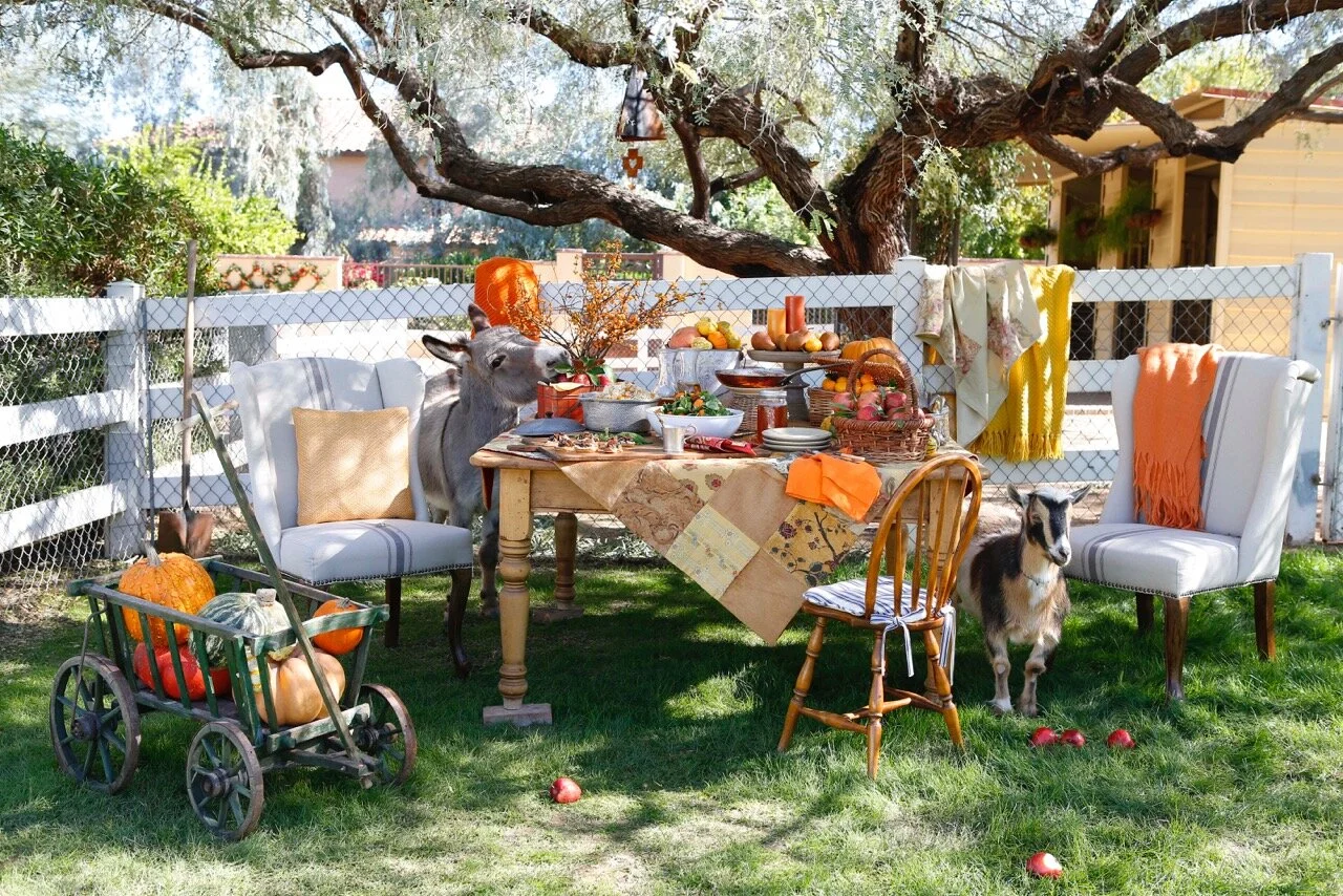 FALL FEAST AND EASY DECOR IDEAS