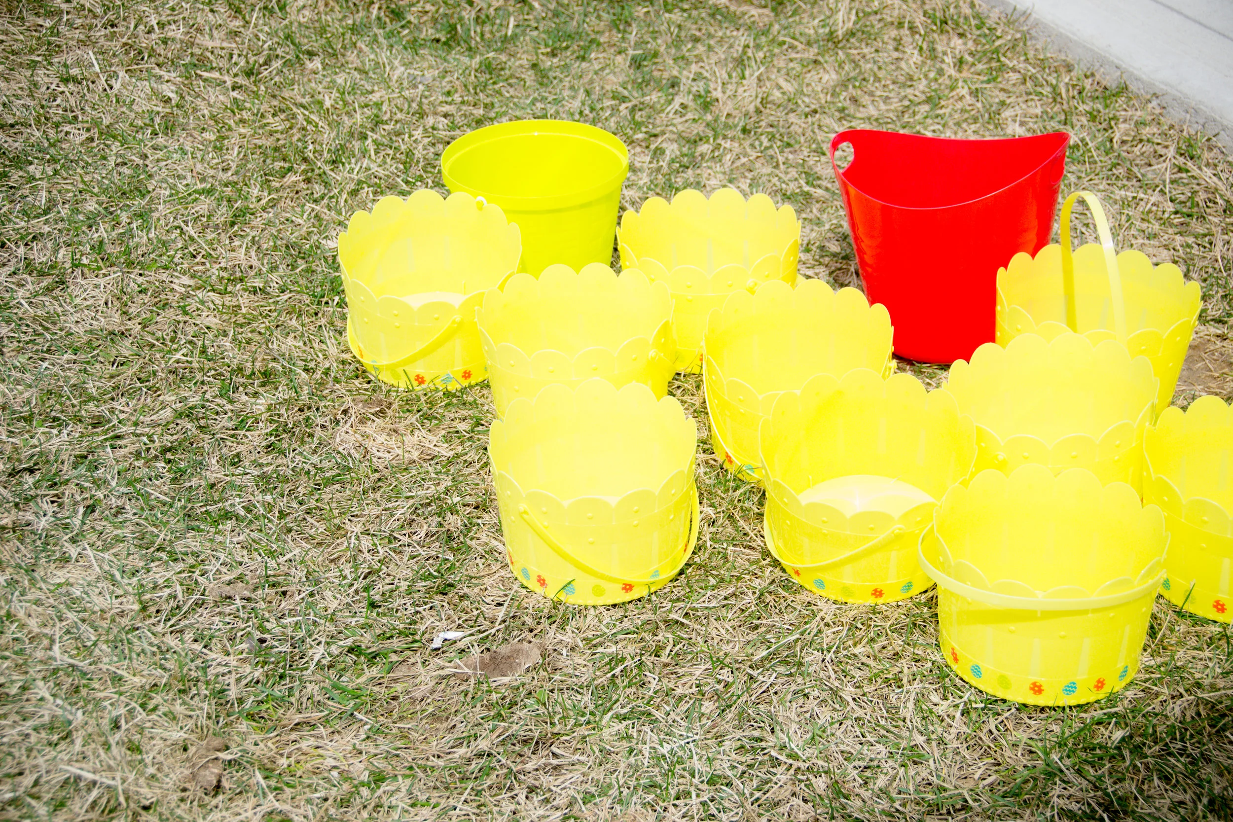 Easter Egg Hunt (1 of 82).jpg