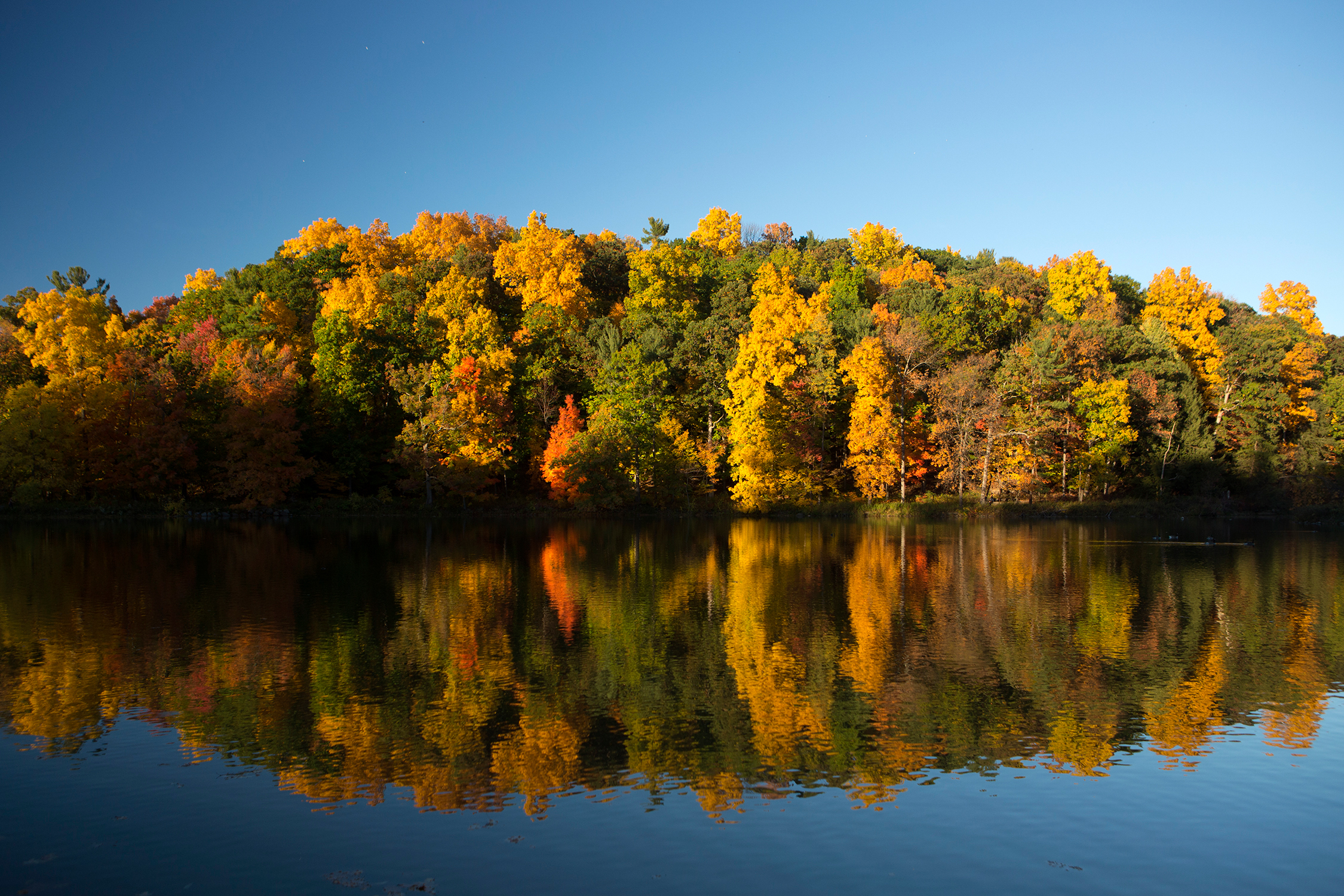 bebee lake.jpg