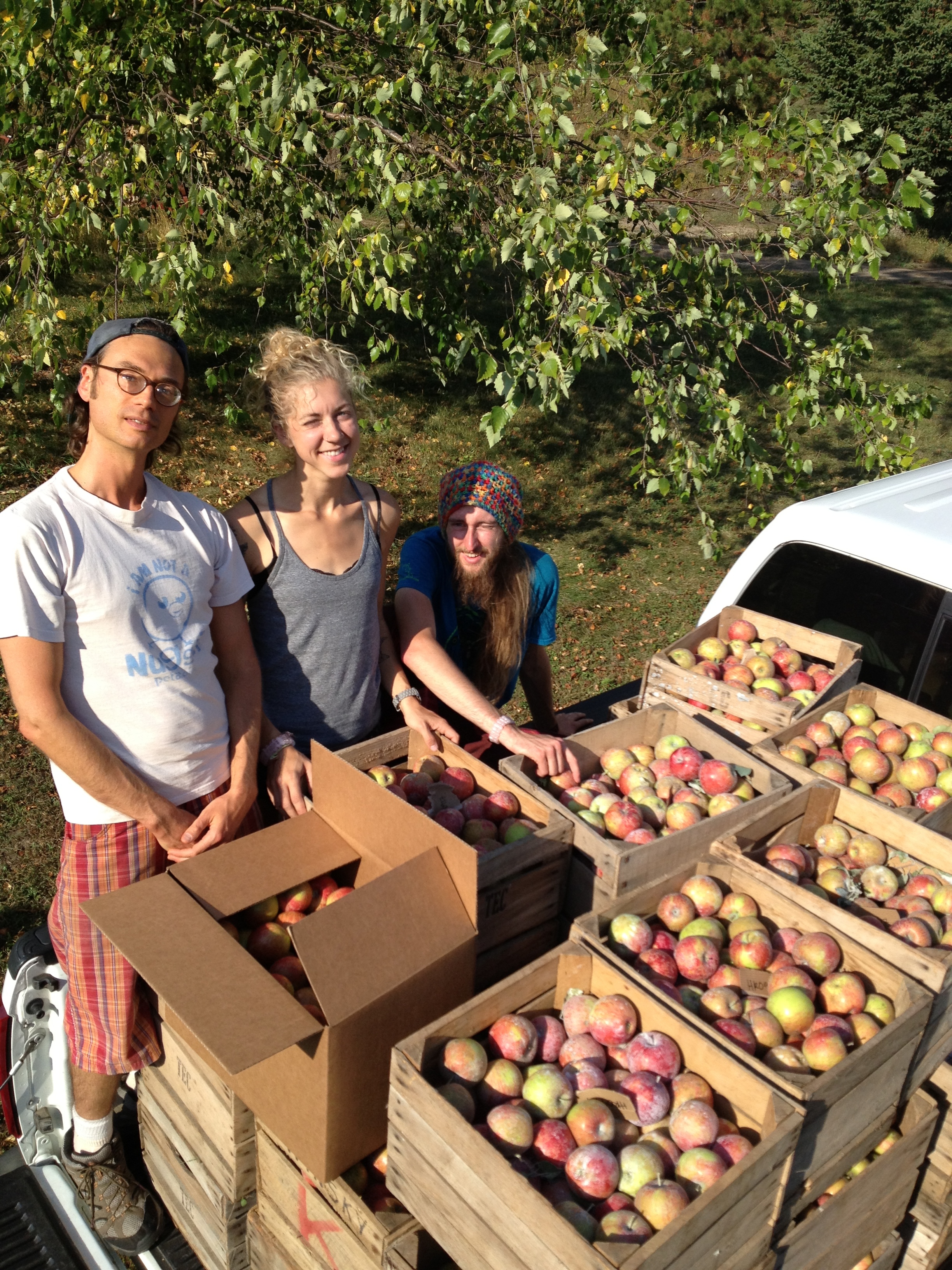 Organic Pink Lady Apples (Per Pound) - Elm City Market