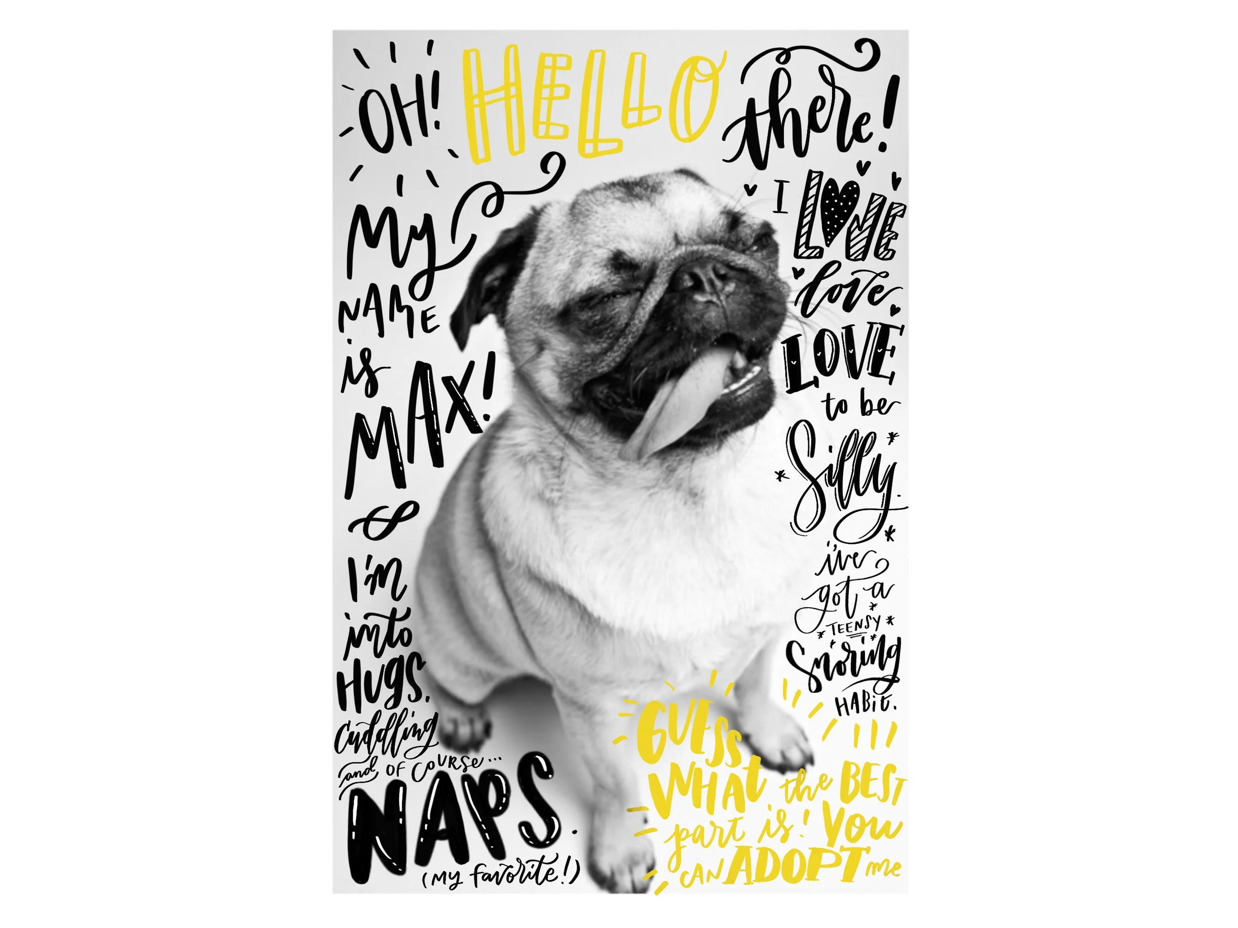 puggie mutts up.jpg