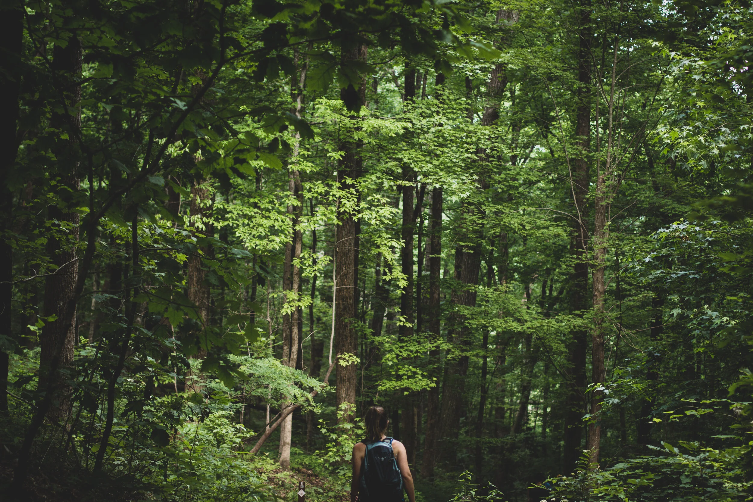 Photo Credit: Zach Reiner
