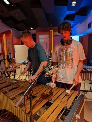 tracking vibraphone