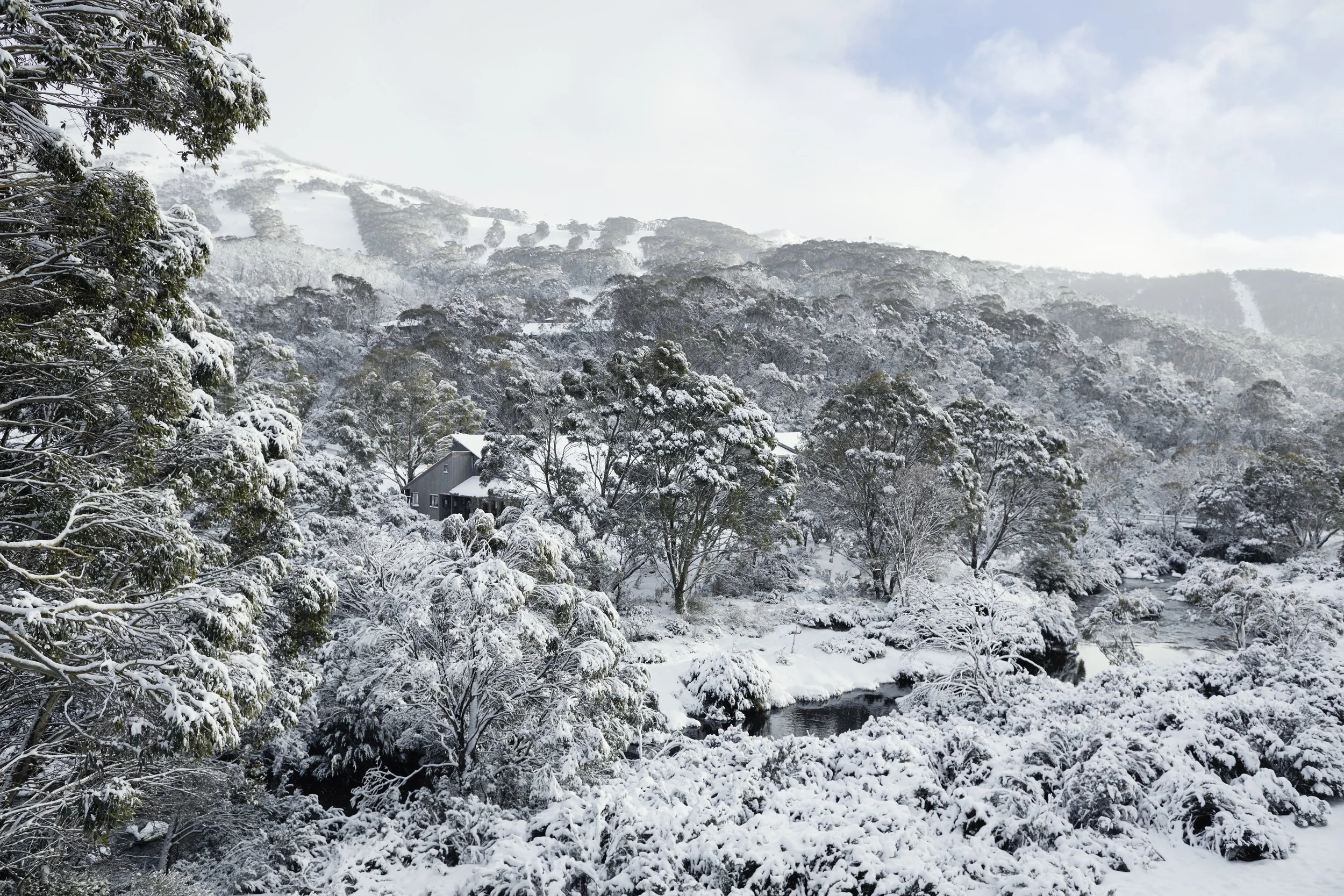 The magical view of Mount Kosciuszko from The Eastern at Thredbo Village. Photo - Monique Easton.