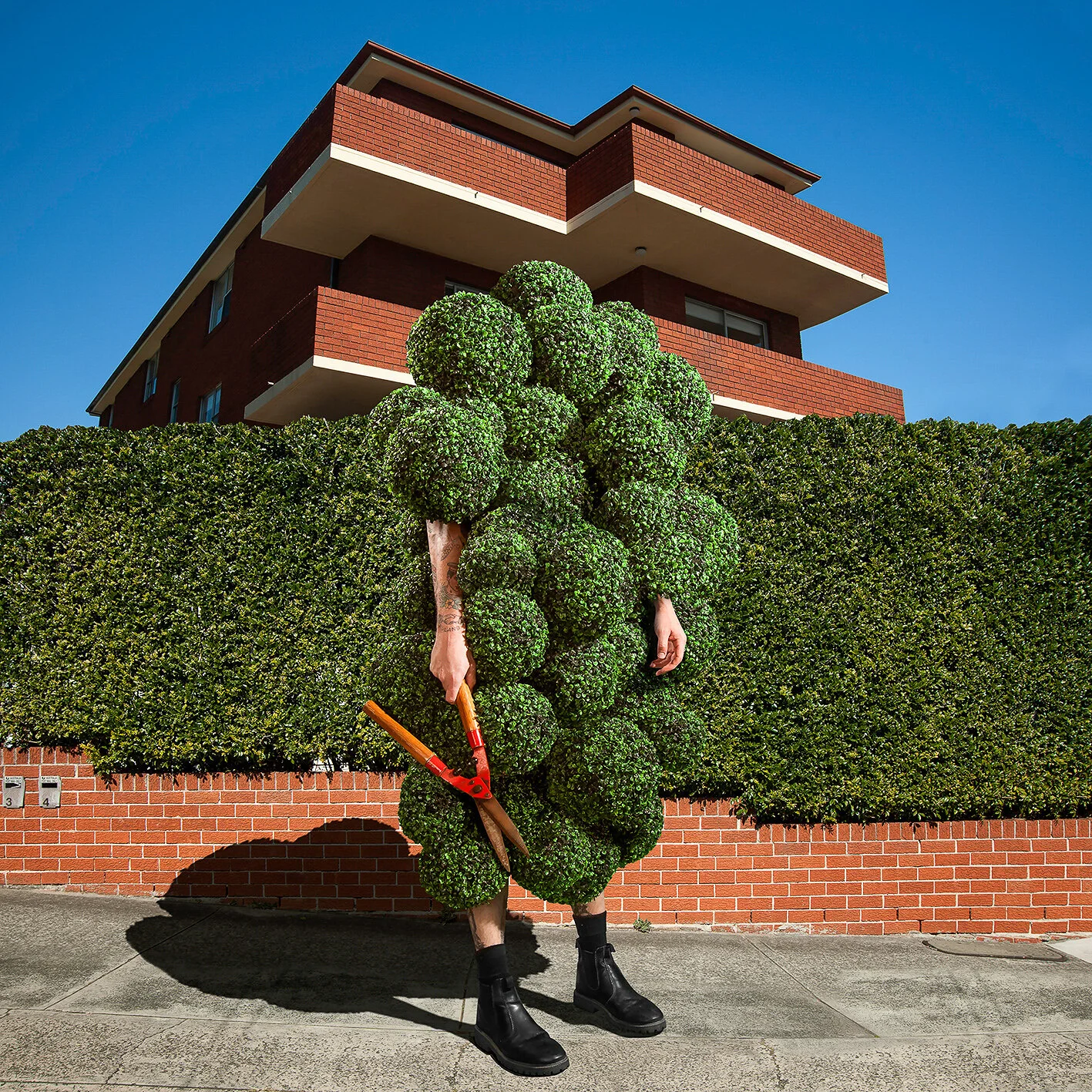 Hedge , from Gerwyn Davies’ Bel Air series.