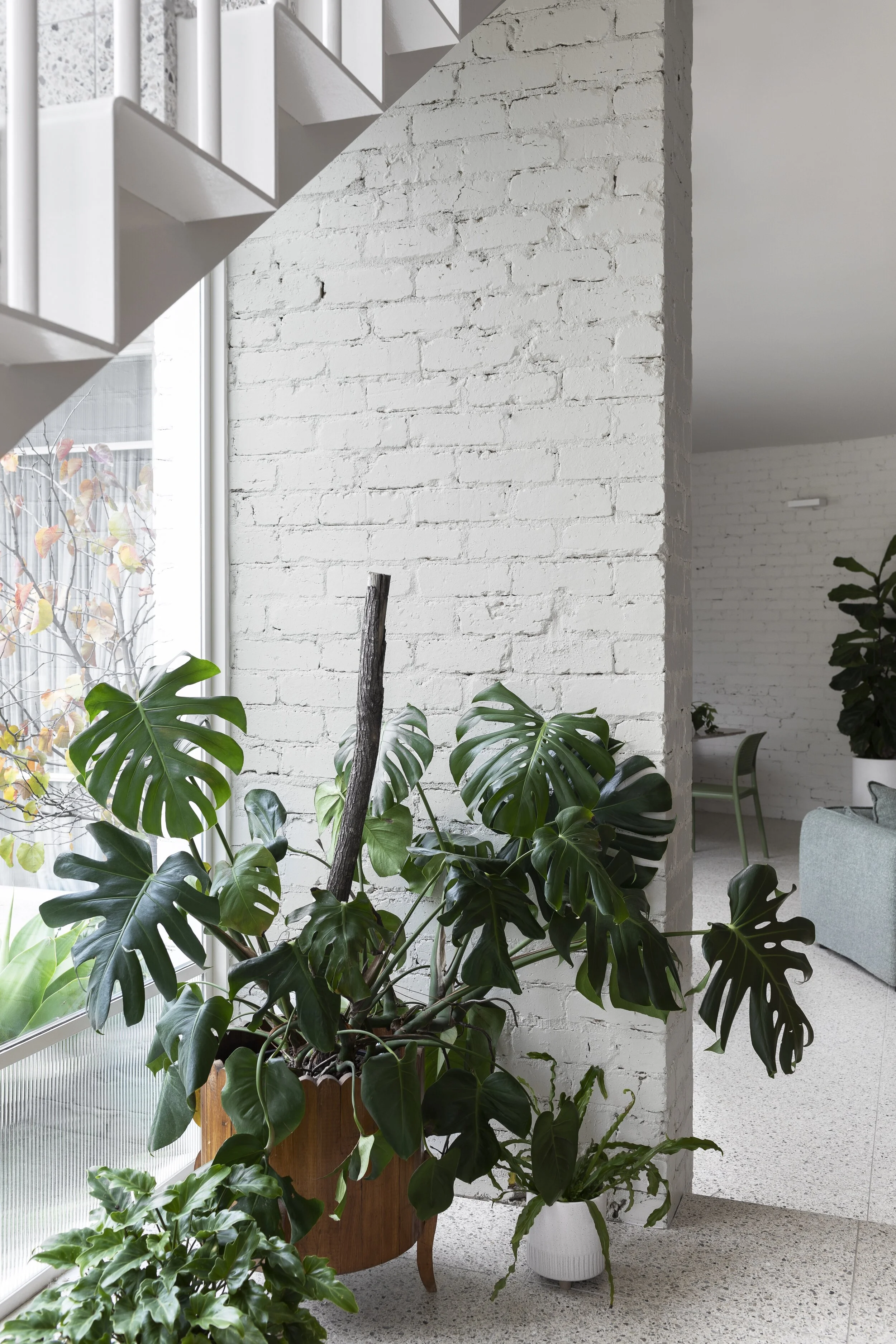 Haymes Paint Volume 15 Colour Library Awakening — Hunter & Folk